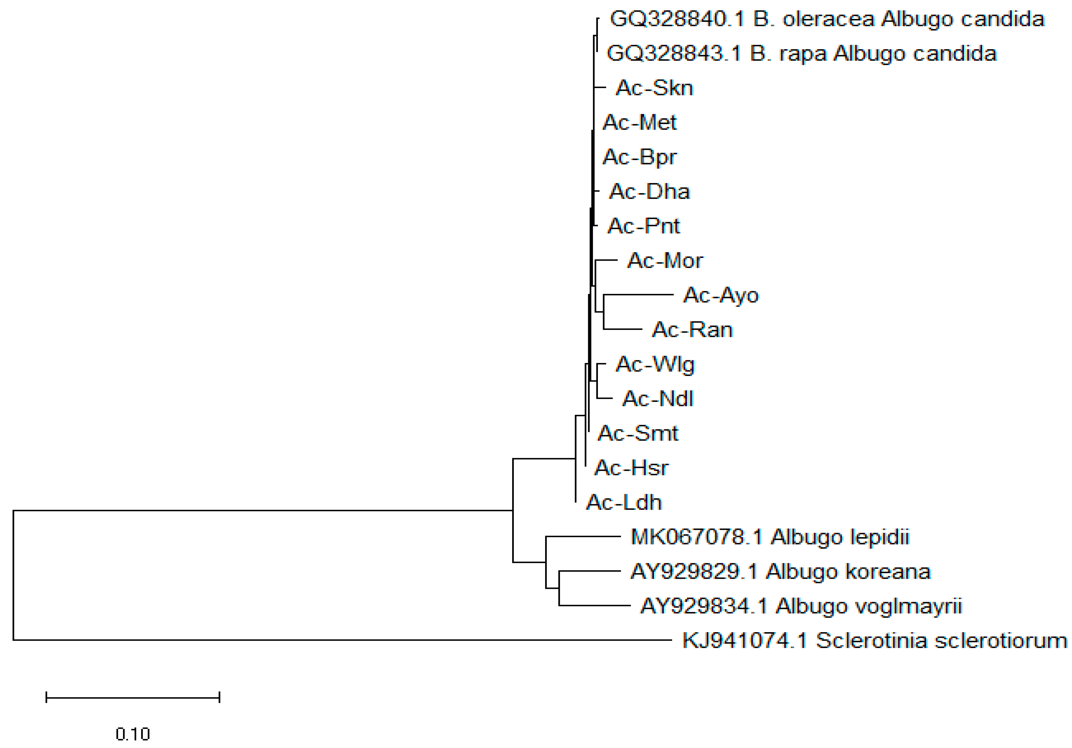 Agronomy 13 01215 g003 Agronomy 13 01215 g003