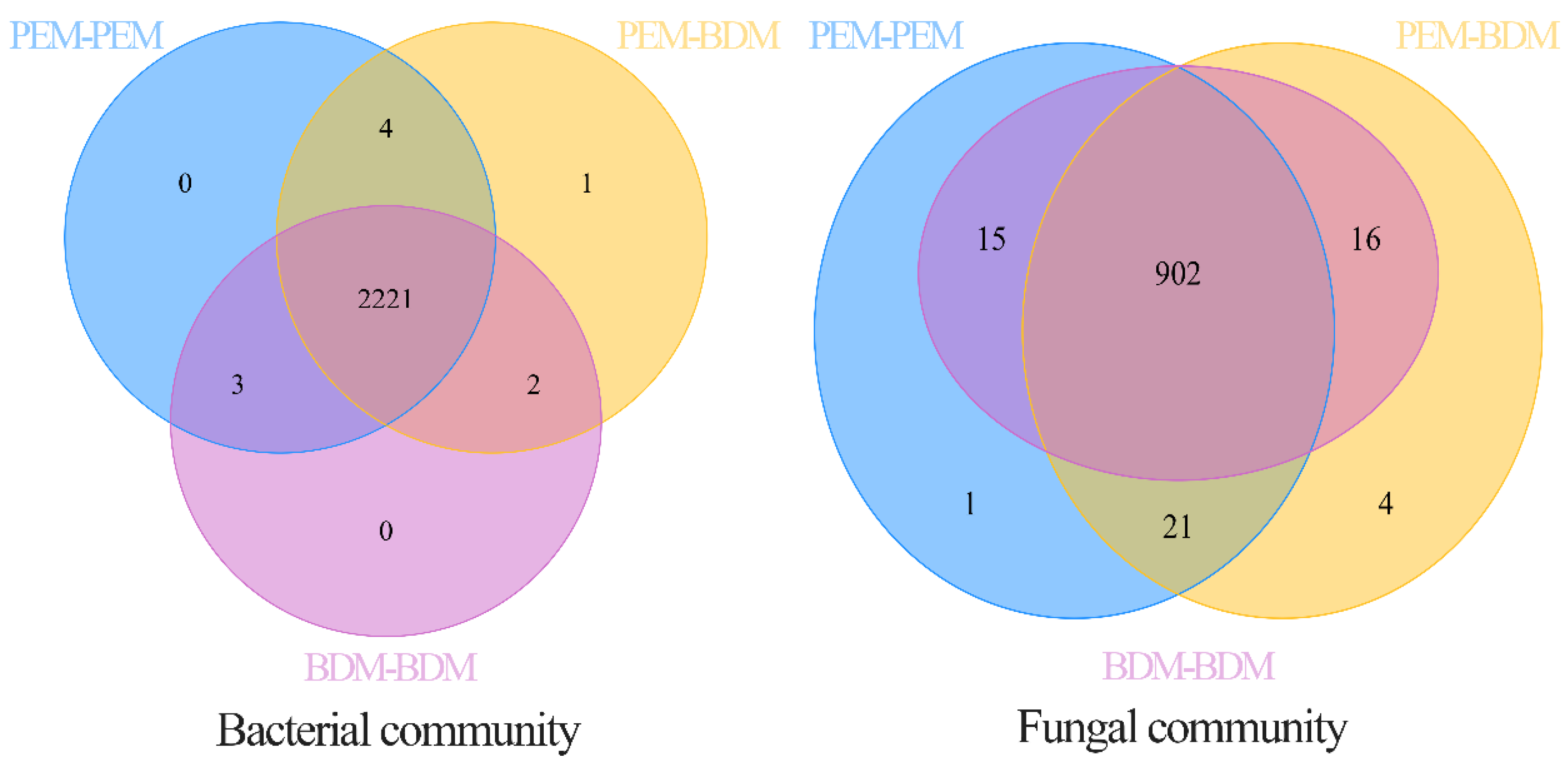Agronomy 13 01220 g001 Agronomy 13 01220 g001