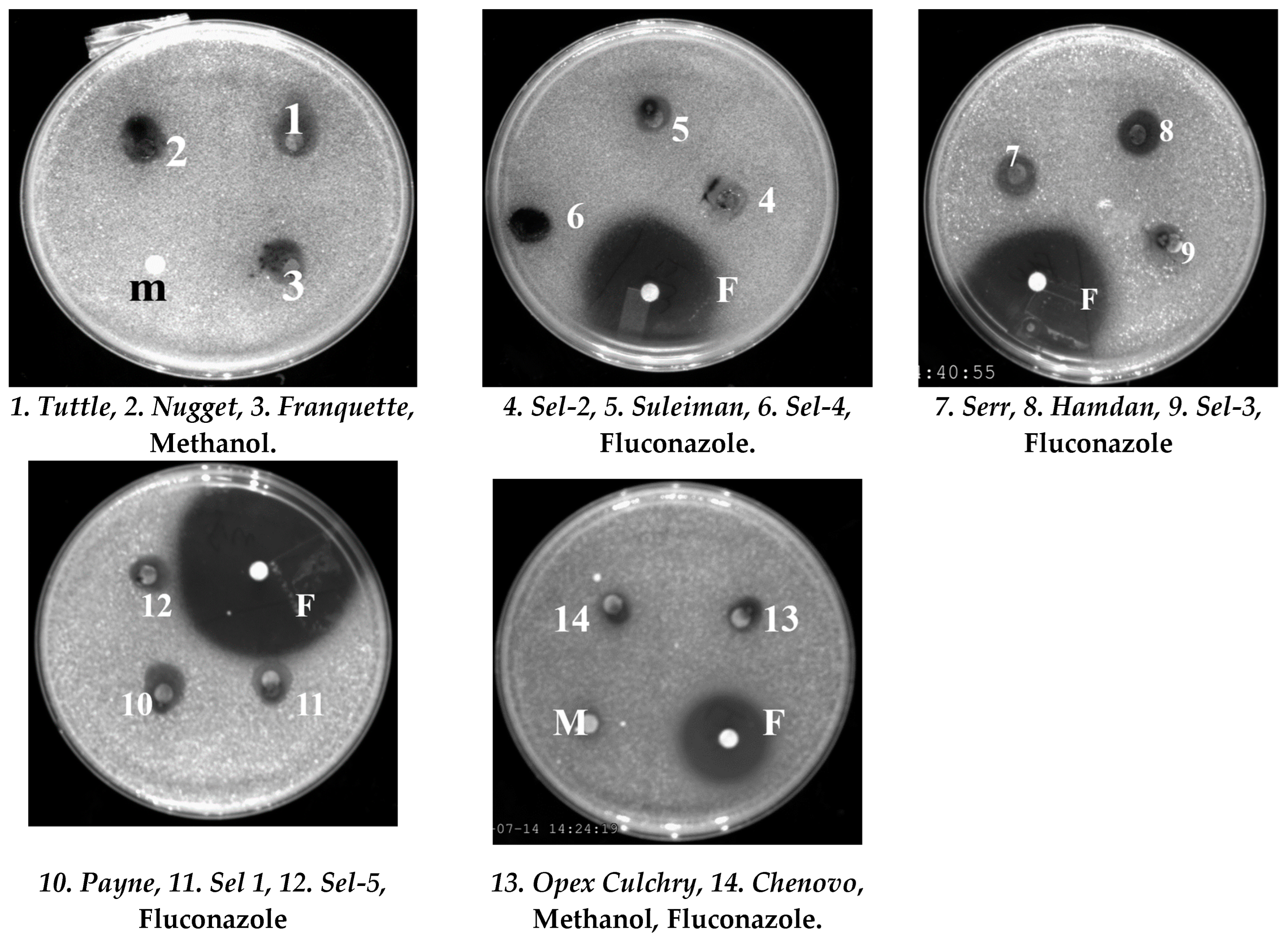 Agronomy 13 01232 g002