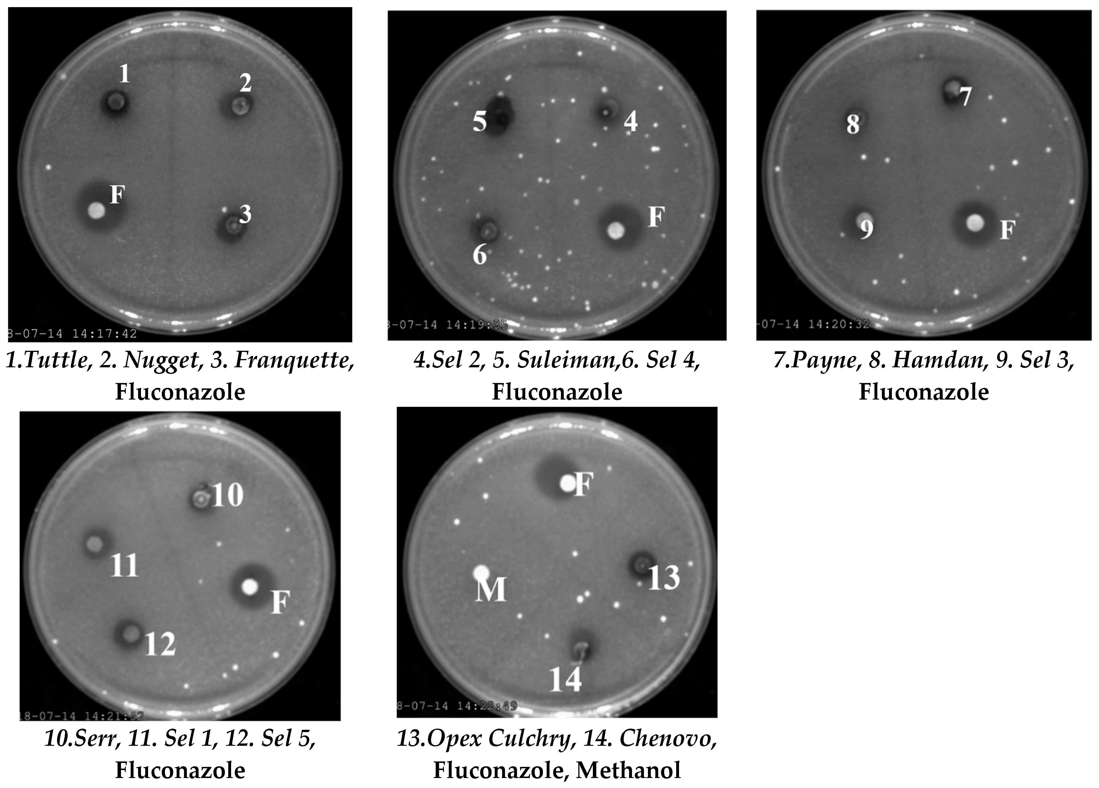 Agronomy 13 01232 g003