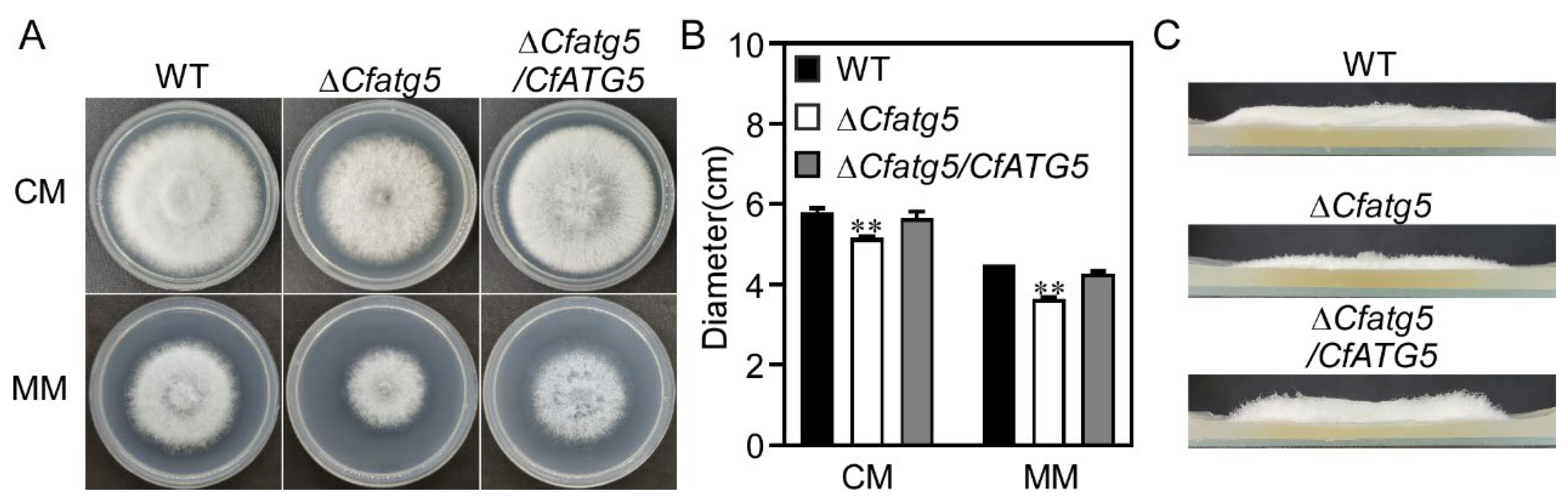 Agronomy 13 01237 g003