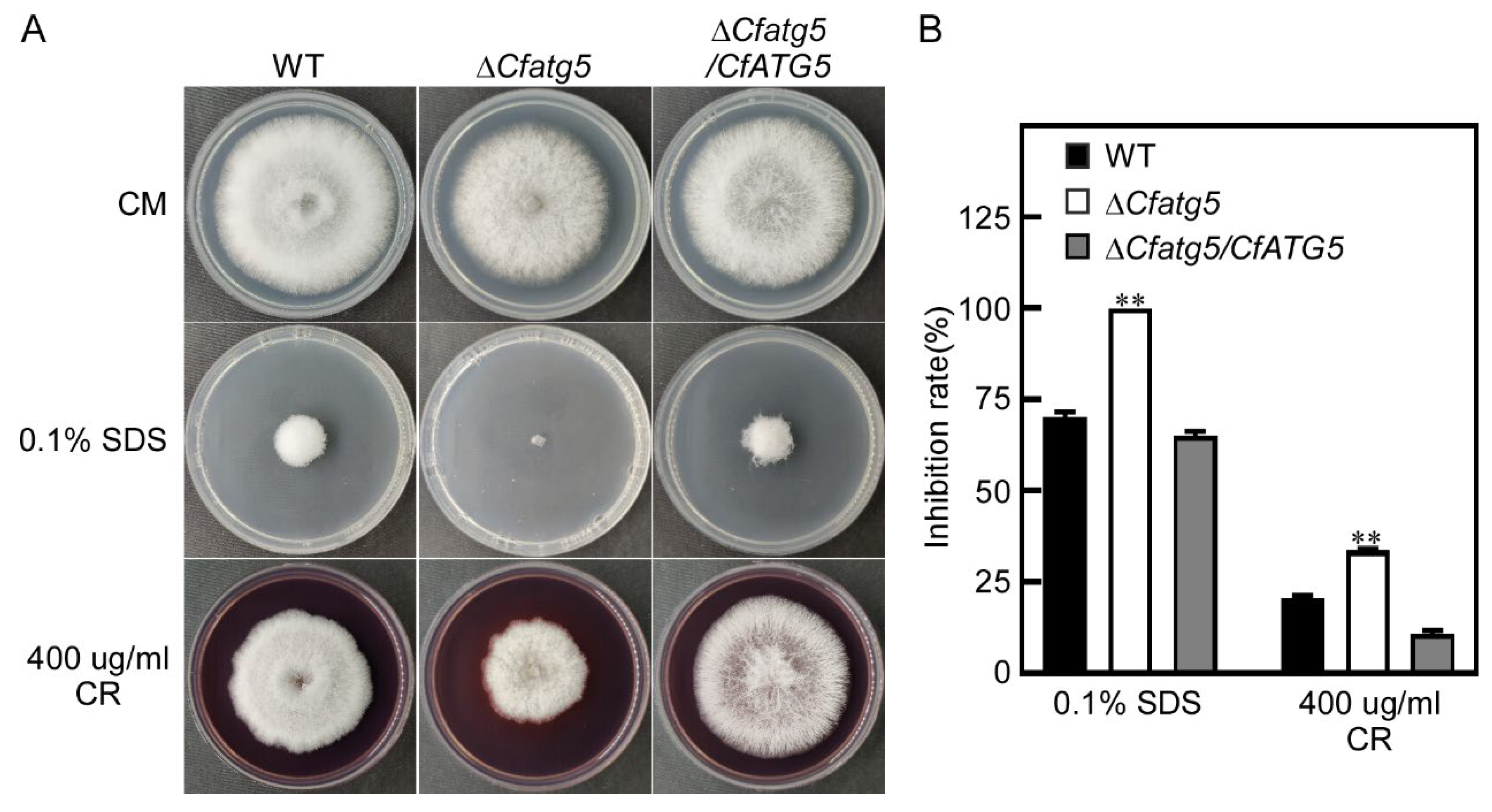 Agronomy 13 01237 g006