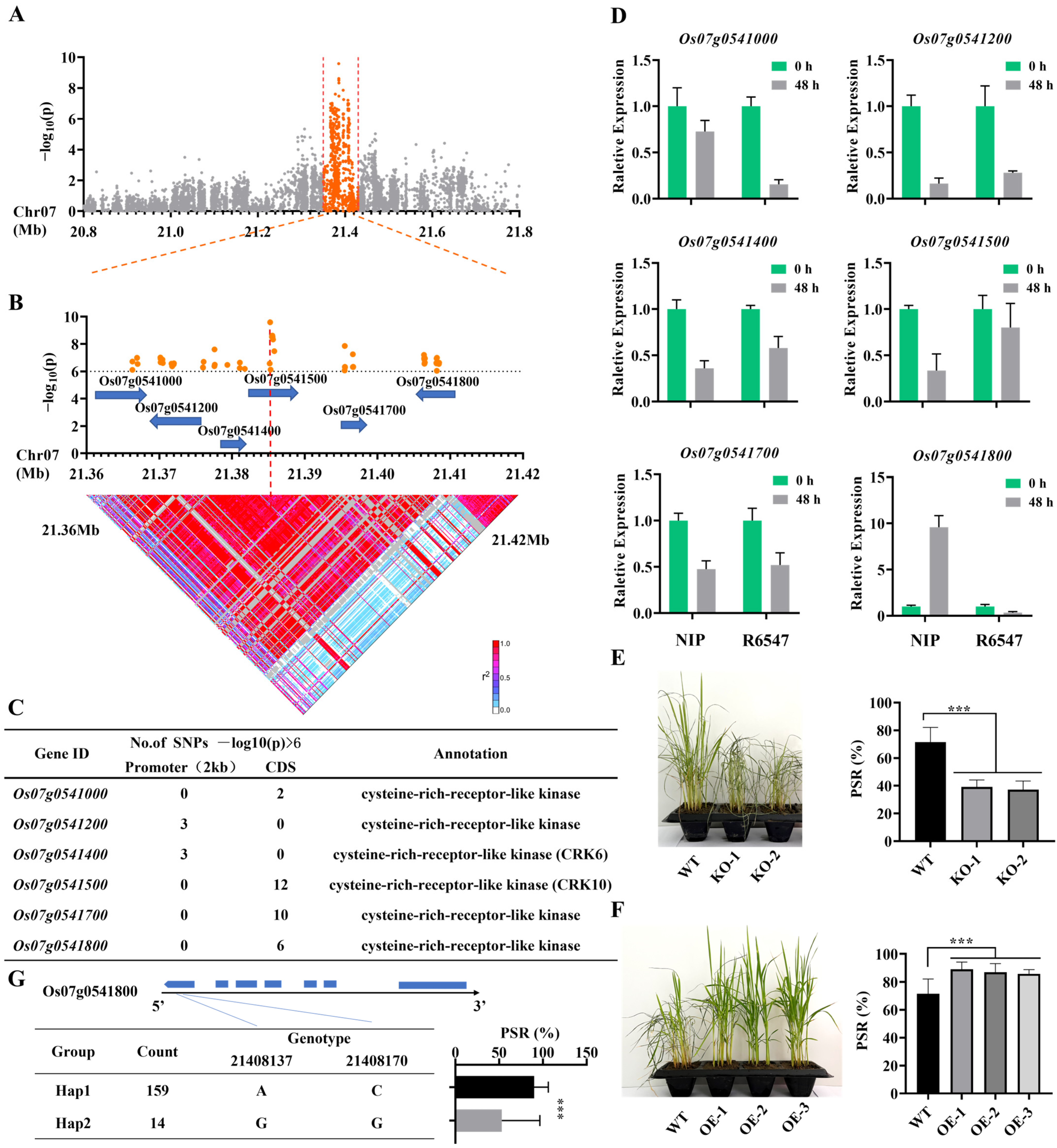 Agronomy 13 01252 g002