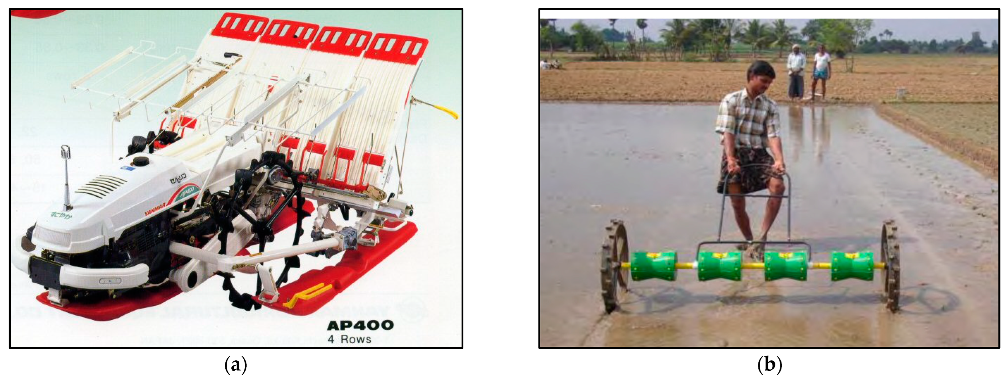 Agronomy 13 01253 g001 Agronomy 13 01253 g001