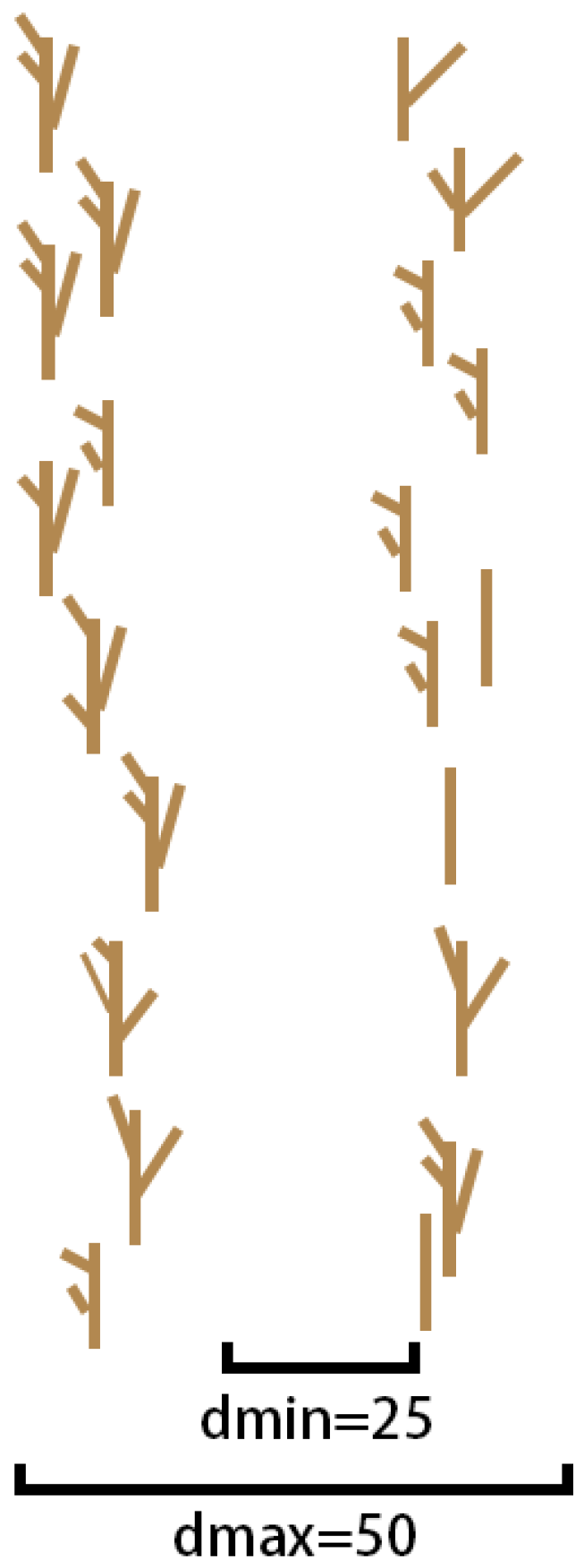 Agronomy 13 01271 g008