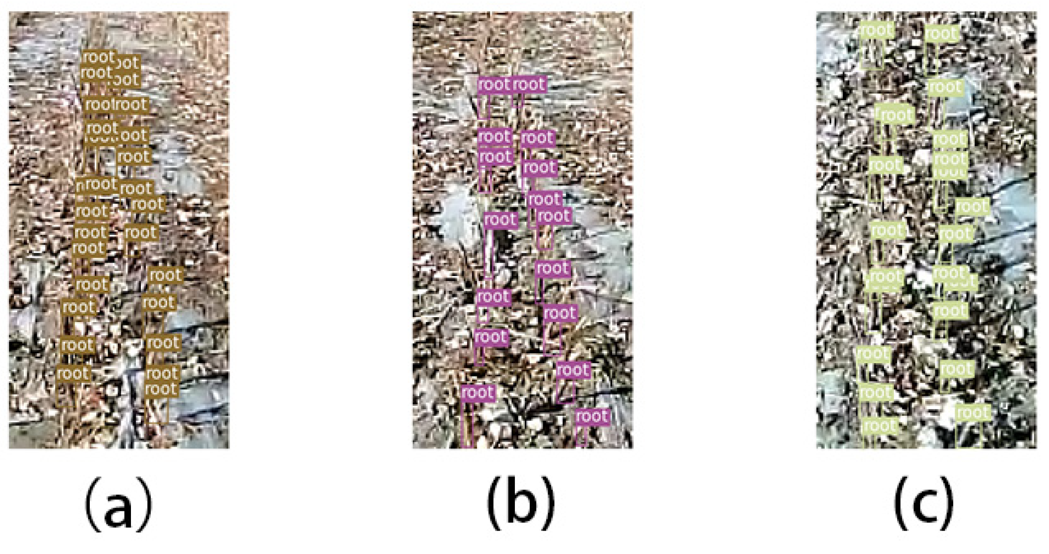 Agronomy 13 01271 g013