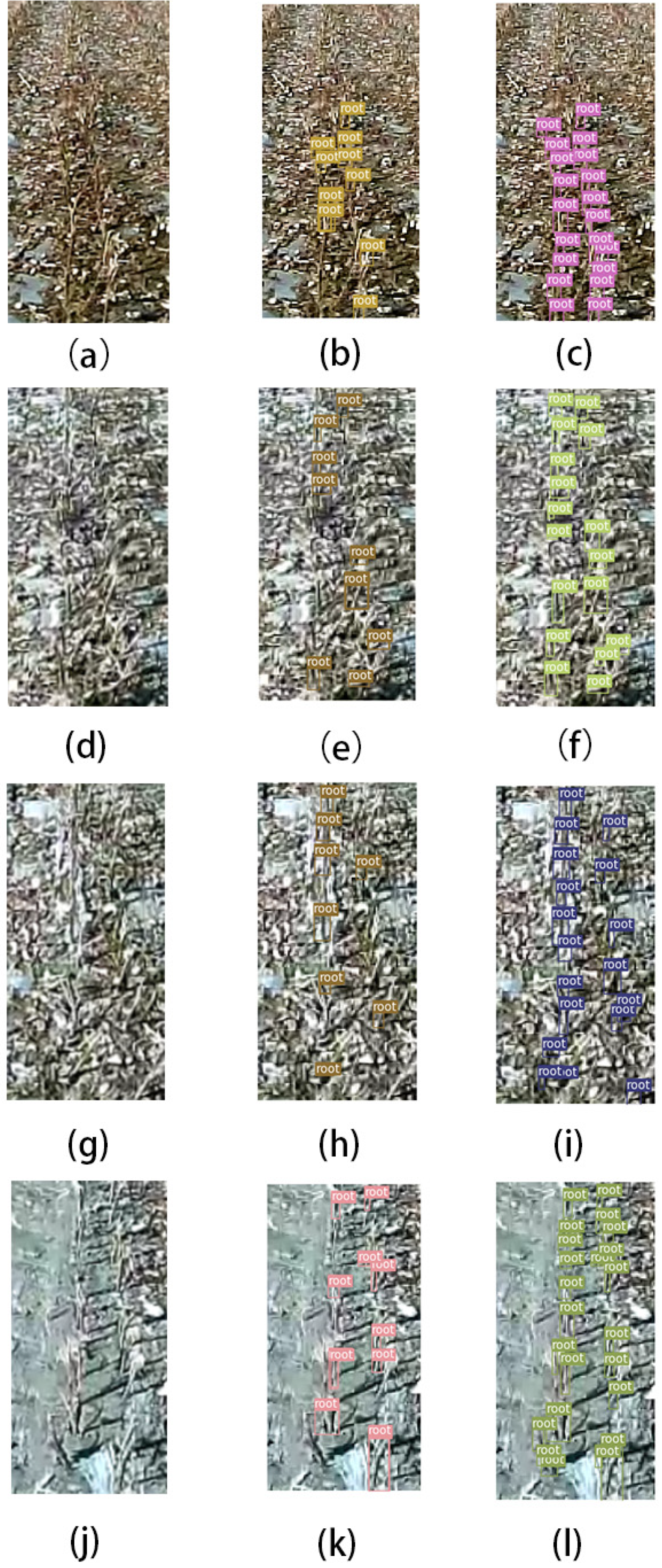 Agronomy 13 01271 g014