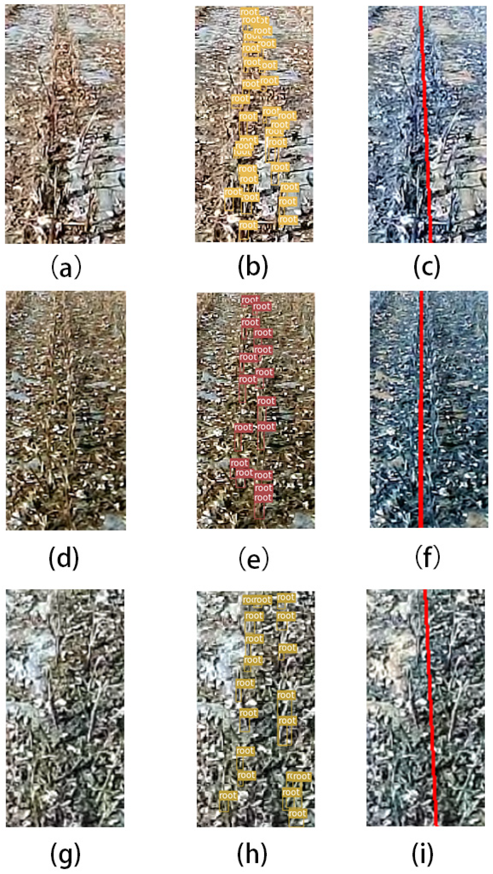 Agronomy 13 01271 g015