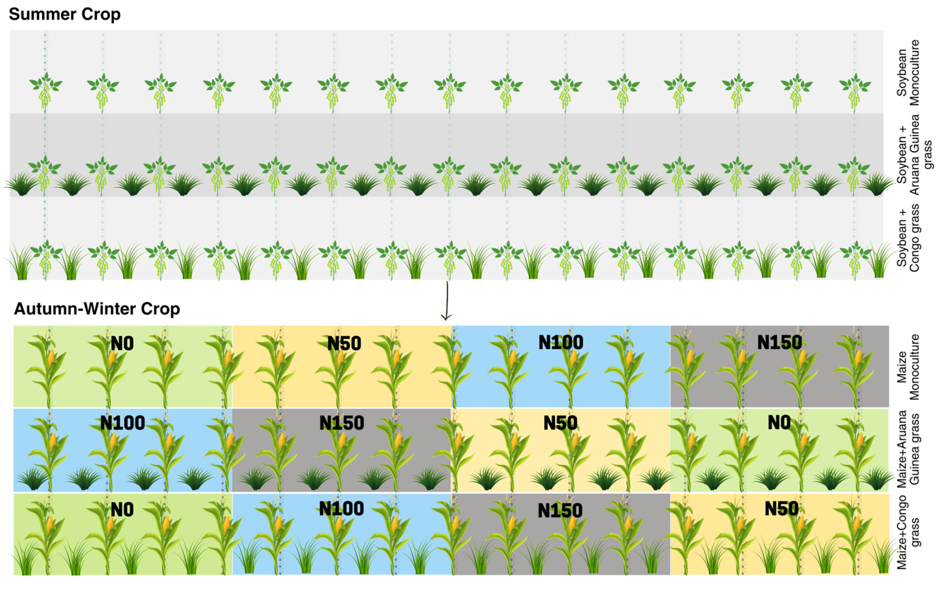 Agronomy 13 01275 g002