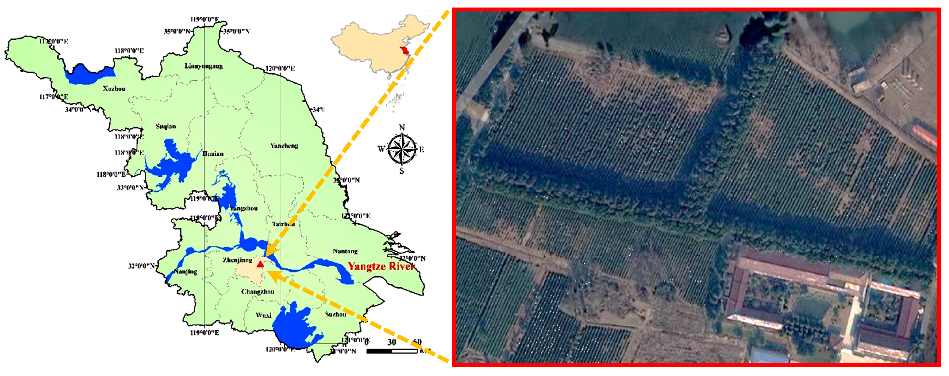 Agronomy 13 01302 g001