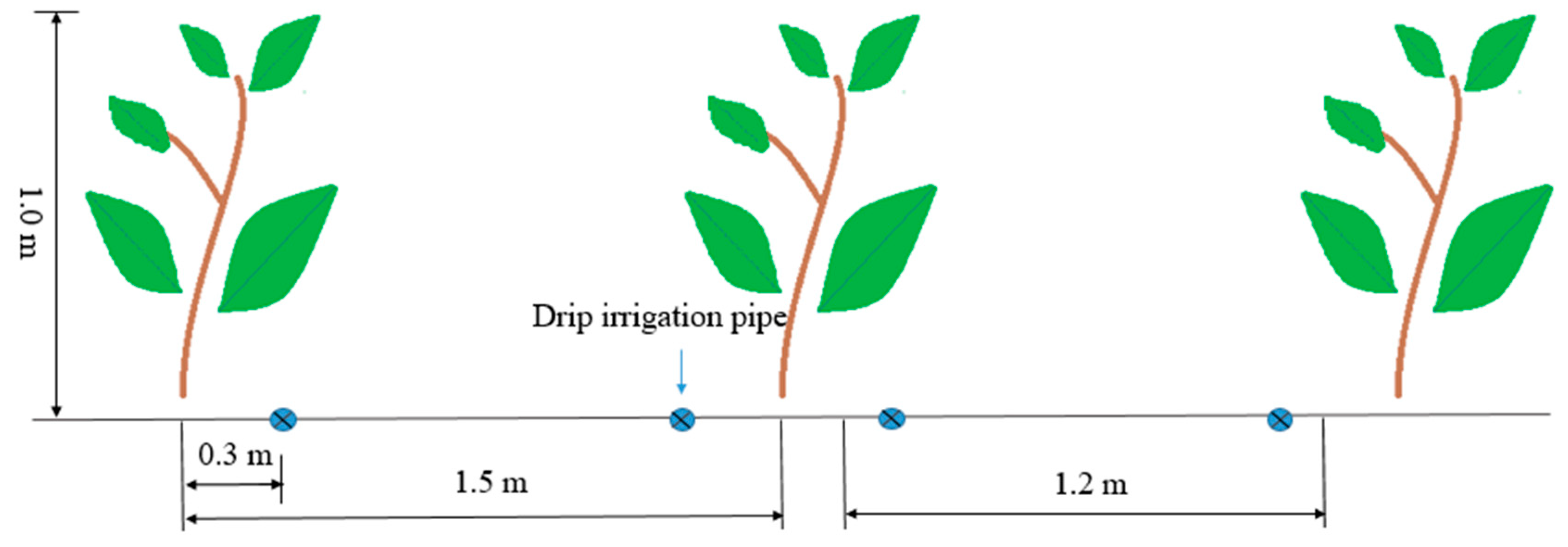 Agronomy 13 01303 g002