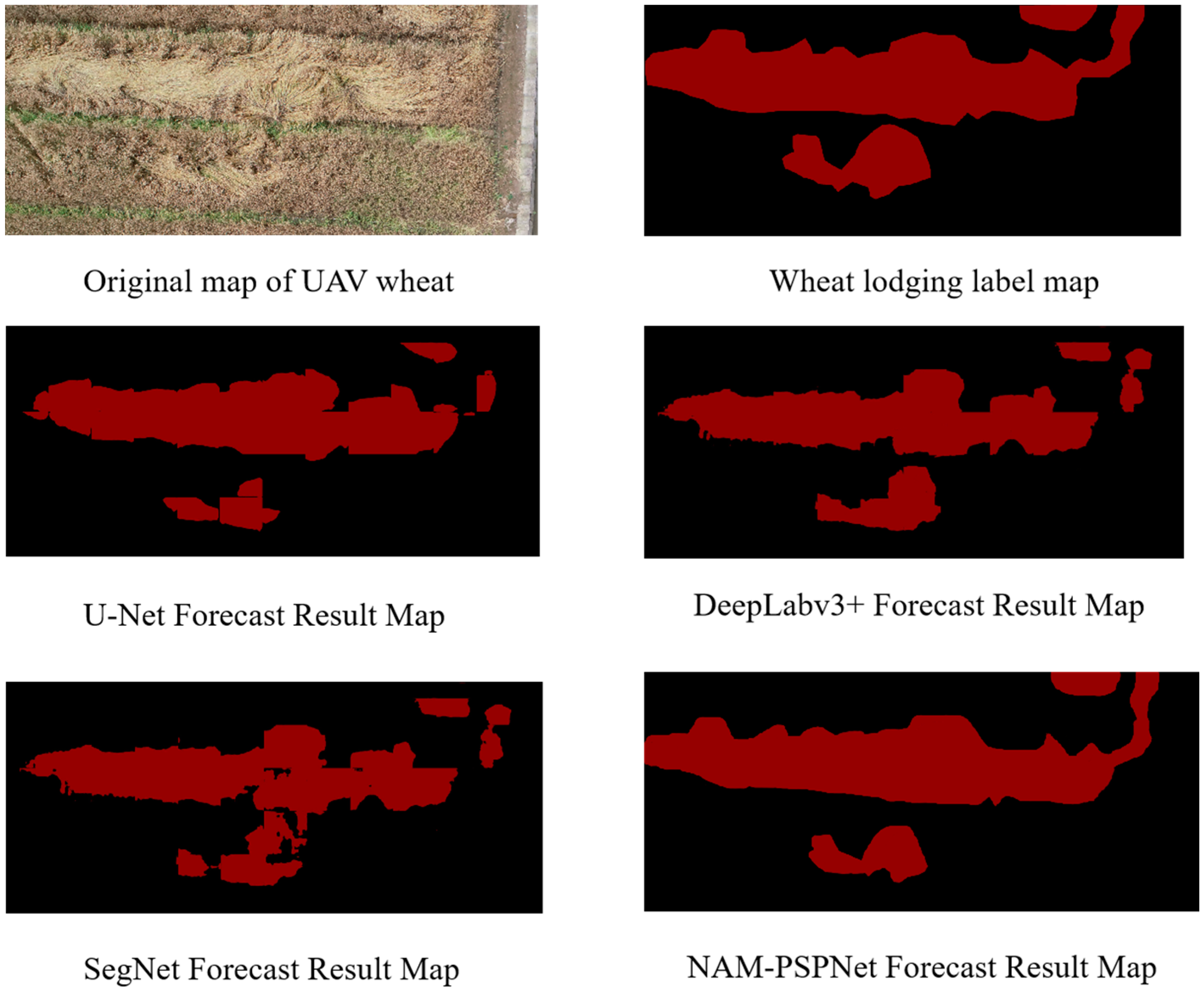 Agronomy 13 01309 g007