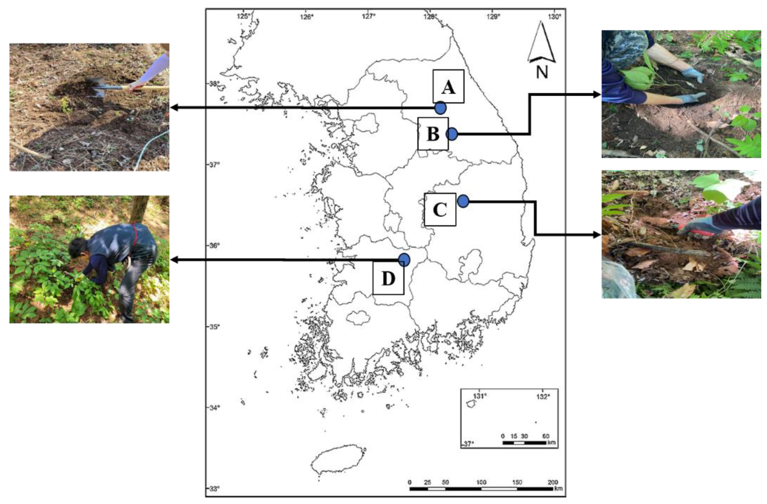 Agronomy 13 01313 g001