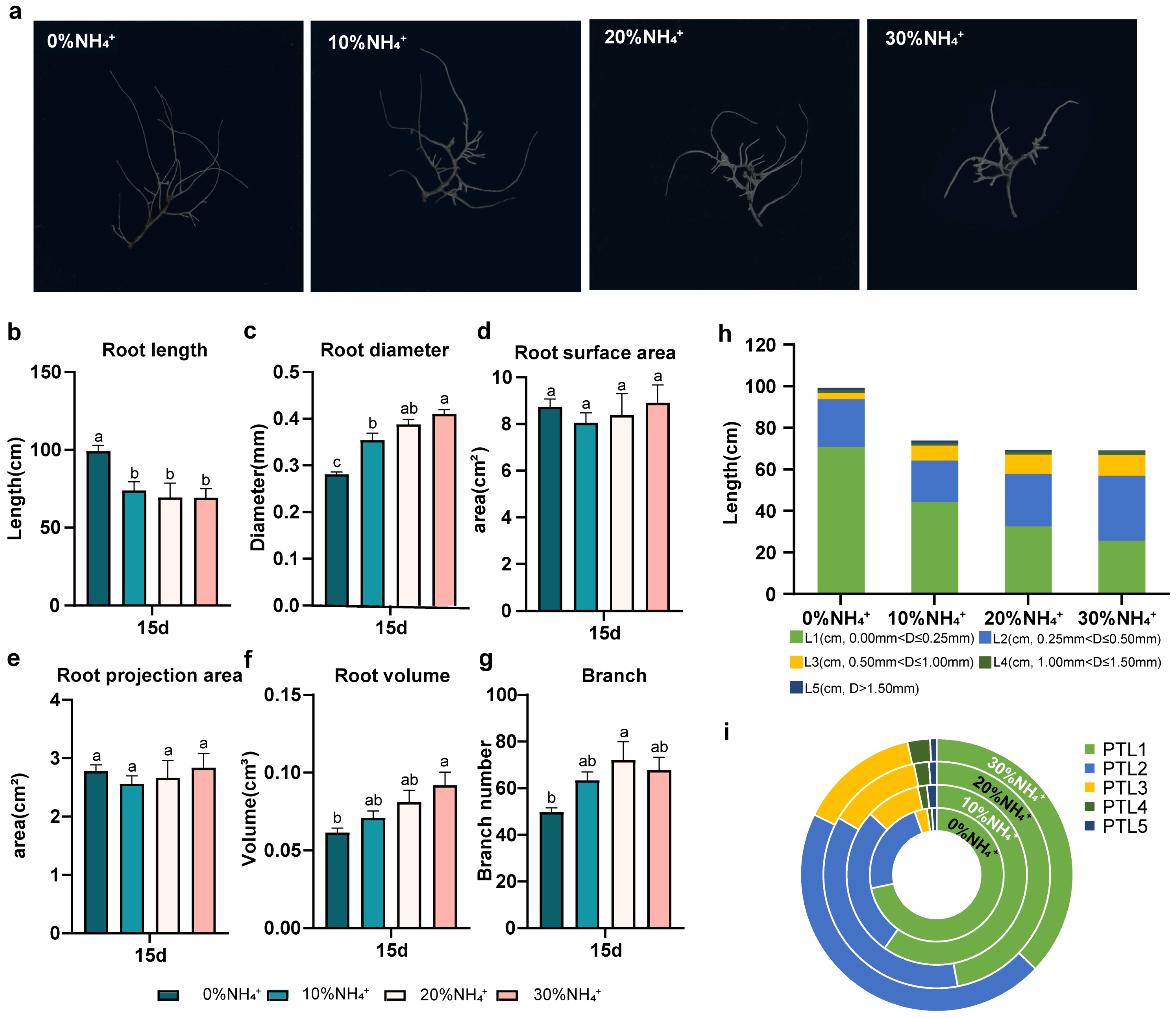 Agronomy 13 01318 g004