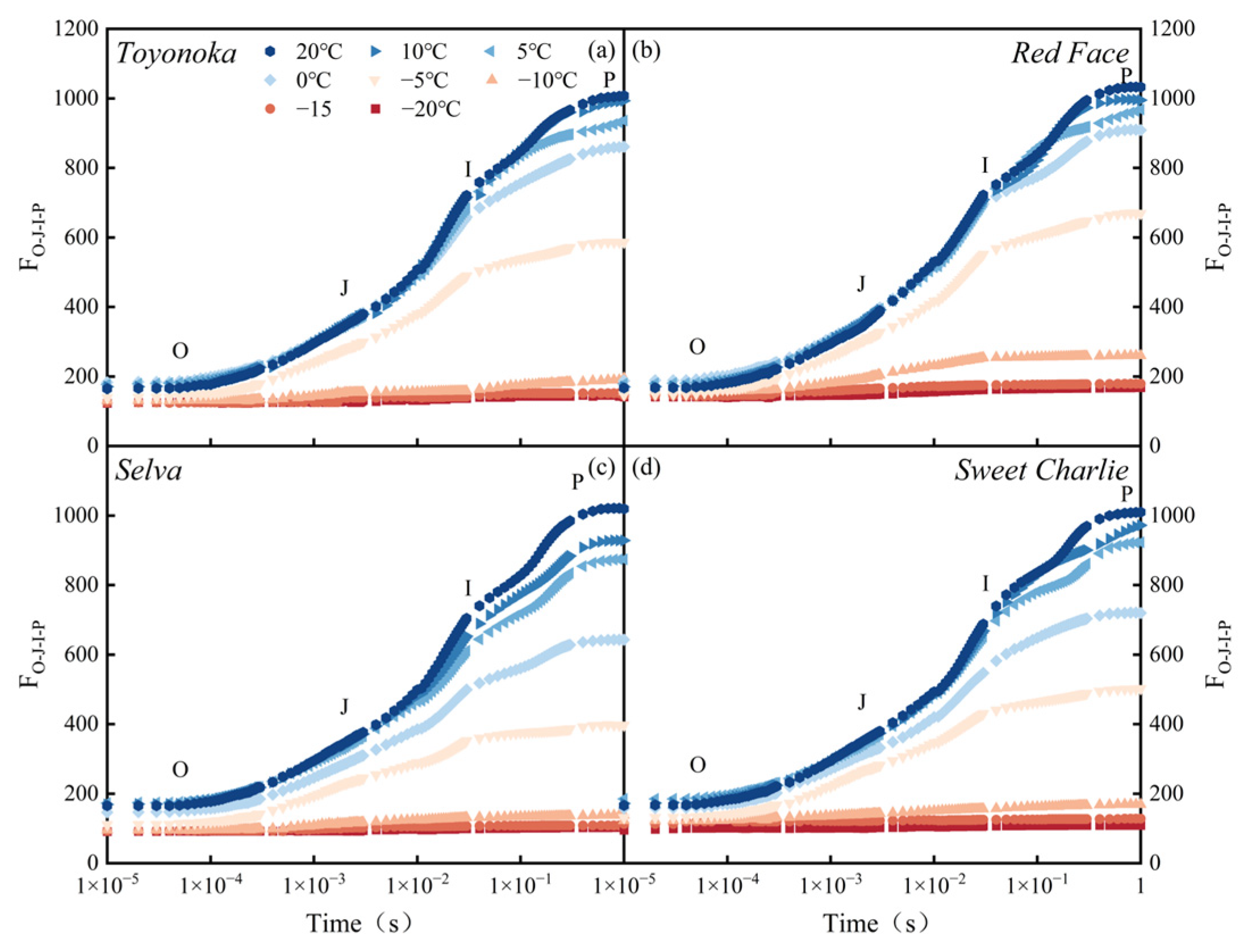 Agronomy 13 01321 g004
