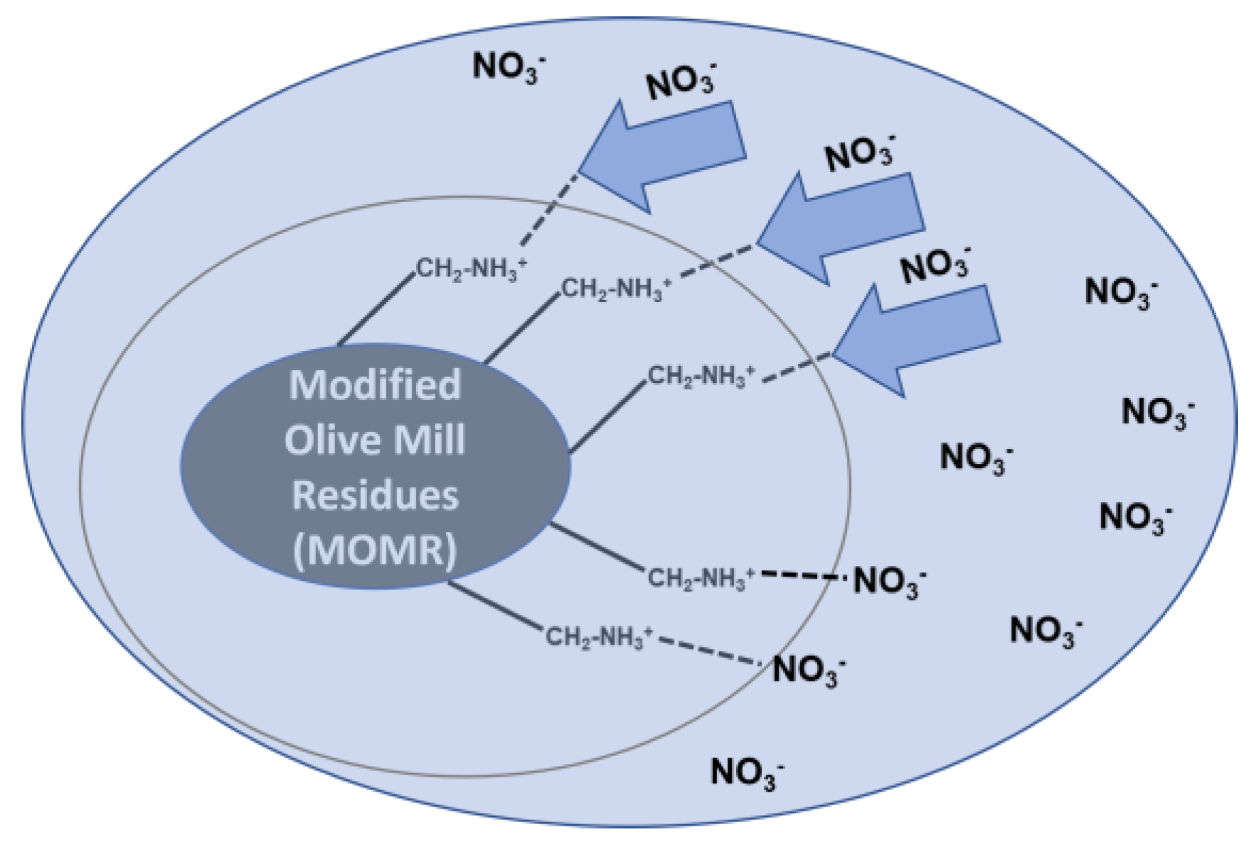 Agronomy 13 01325 g007