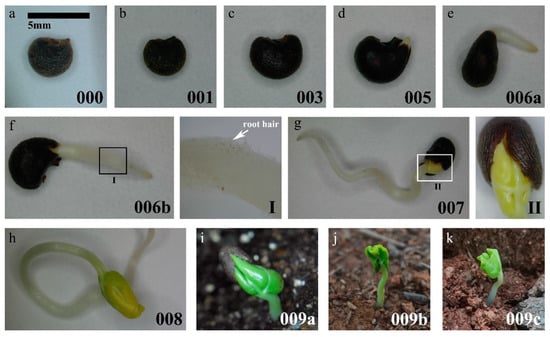 Agronomy 13 01328 g002