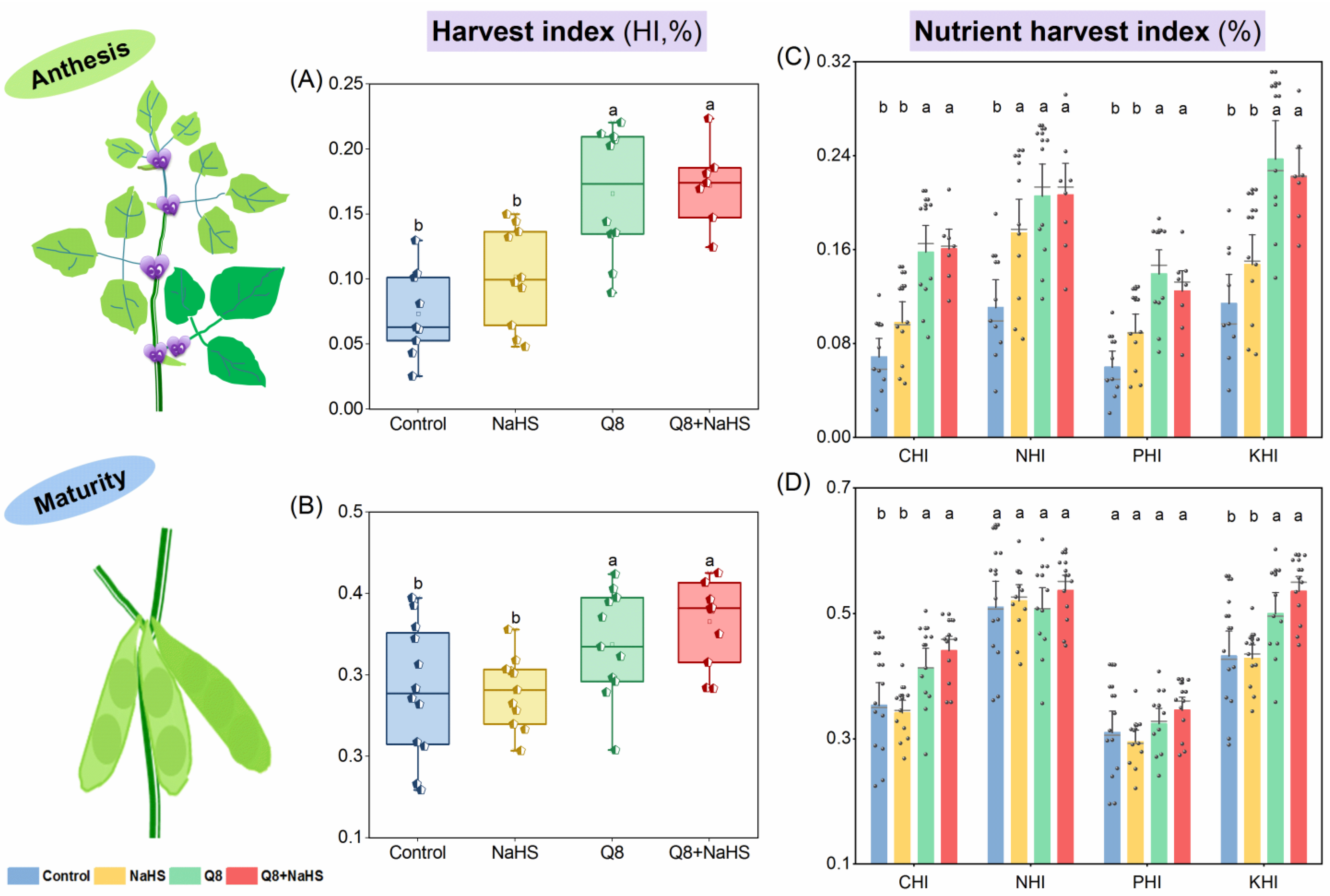 Agronomy 13 01332 g005 Agronomy 13 01332 g005