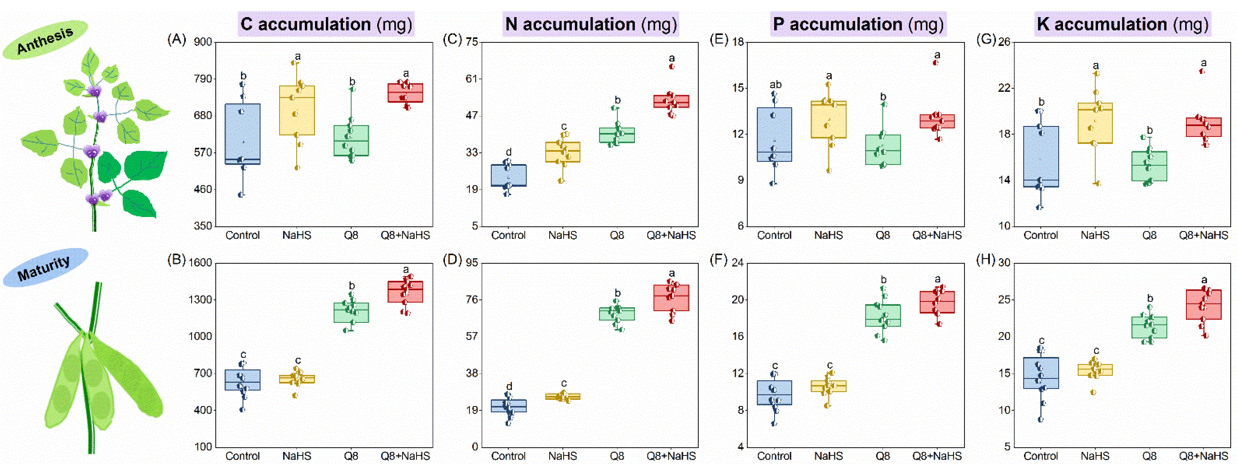 Agronomy 13 01332 g006 Agronomy 13 01332 g006