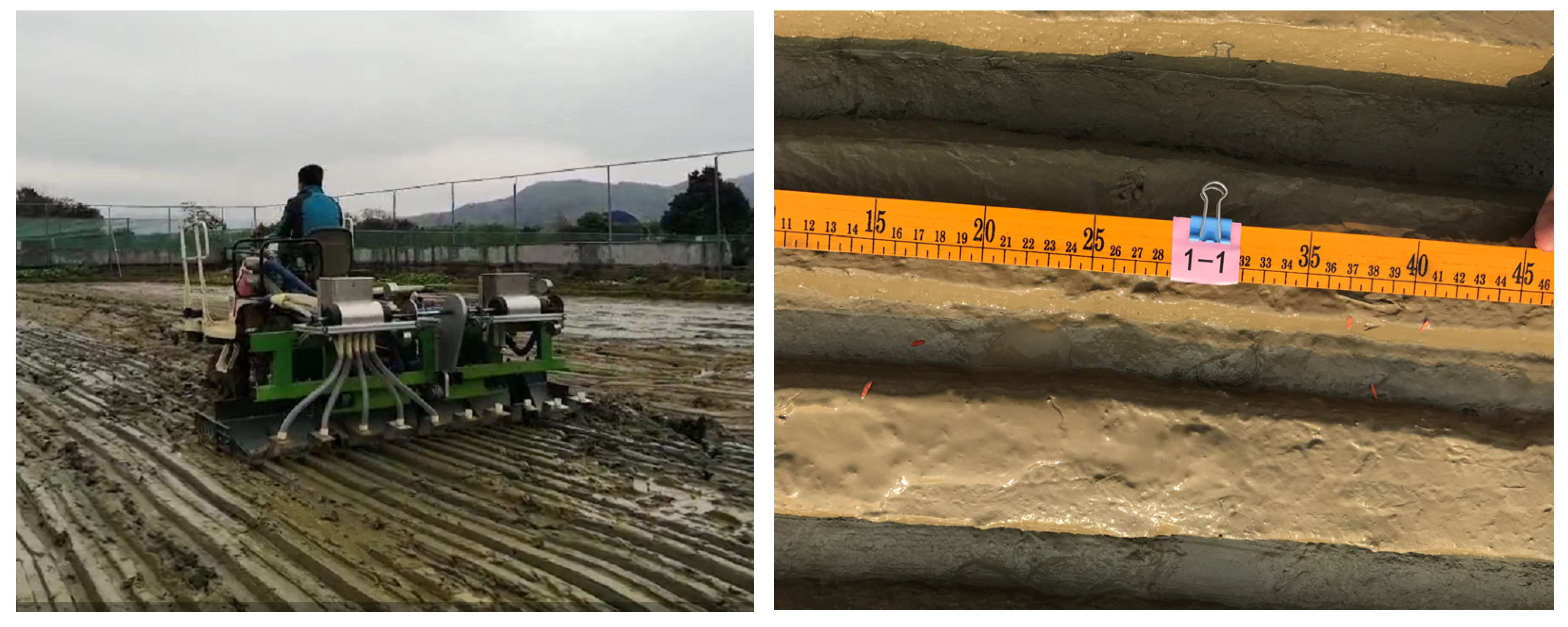 Agronomy 13 01337 g004 Agronomy 13 01337 g004