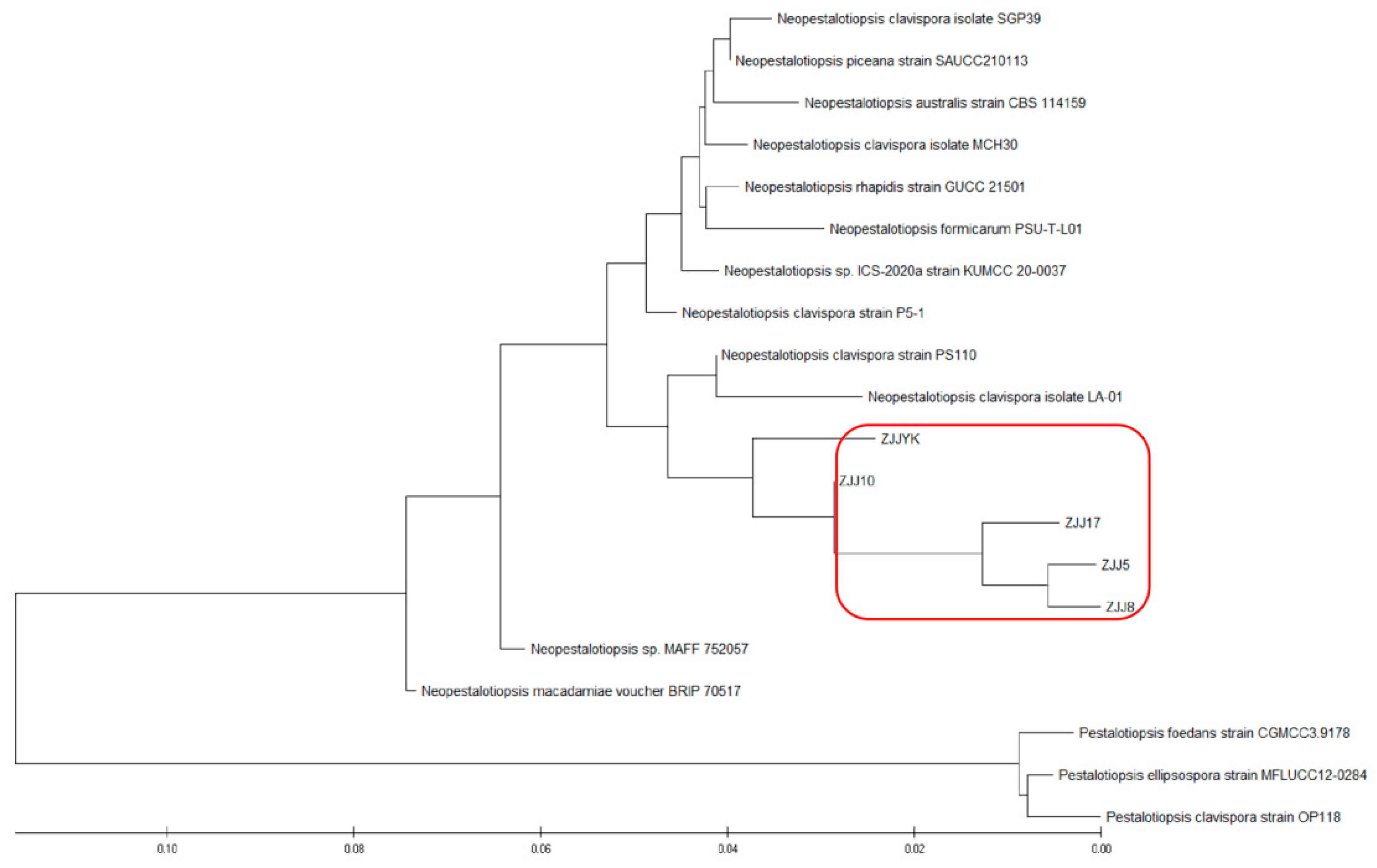 Agronomy 13 01340 g002