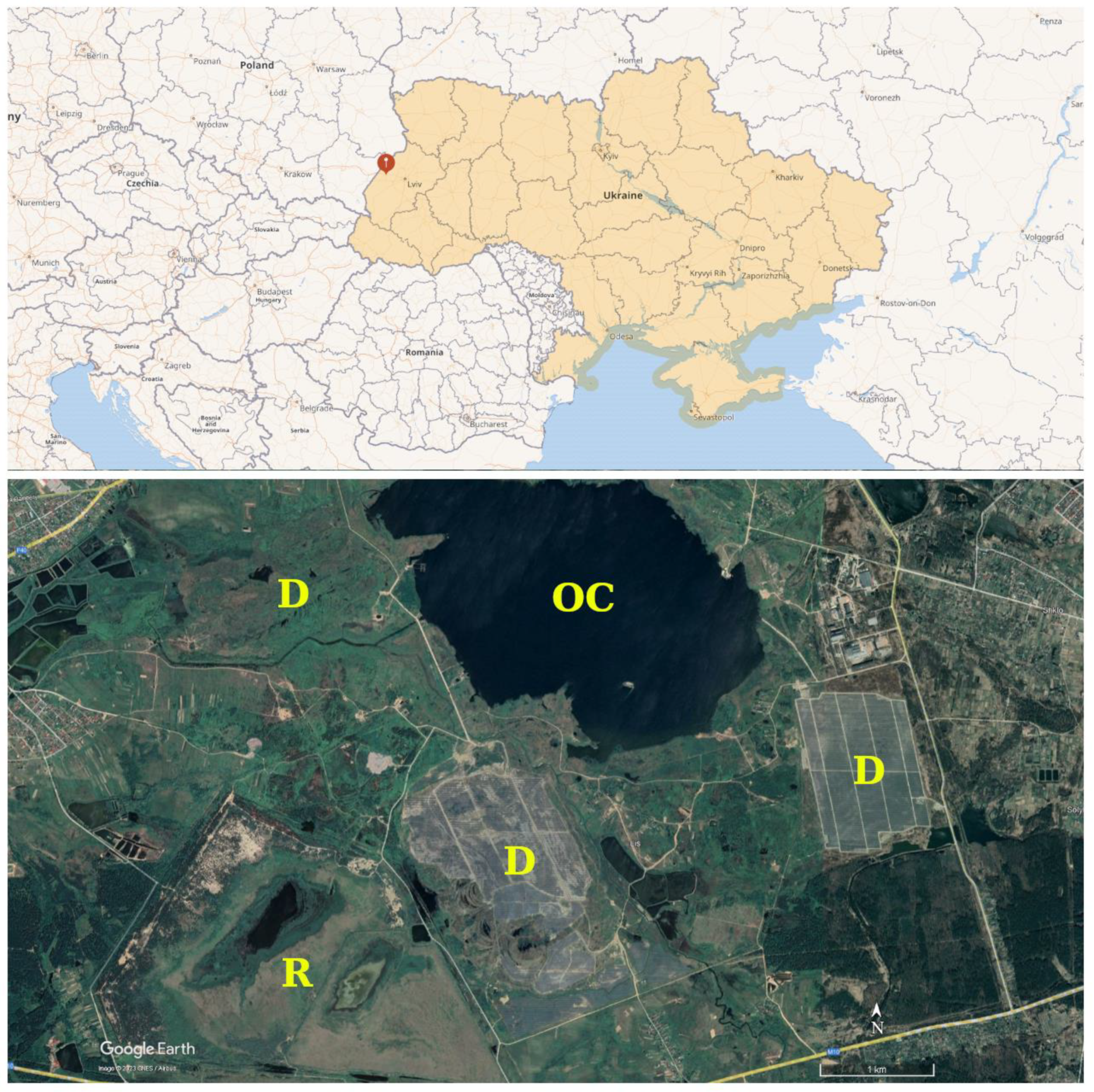 Agronomy 13 01346 g001