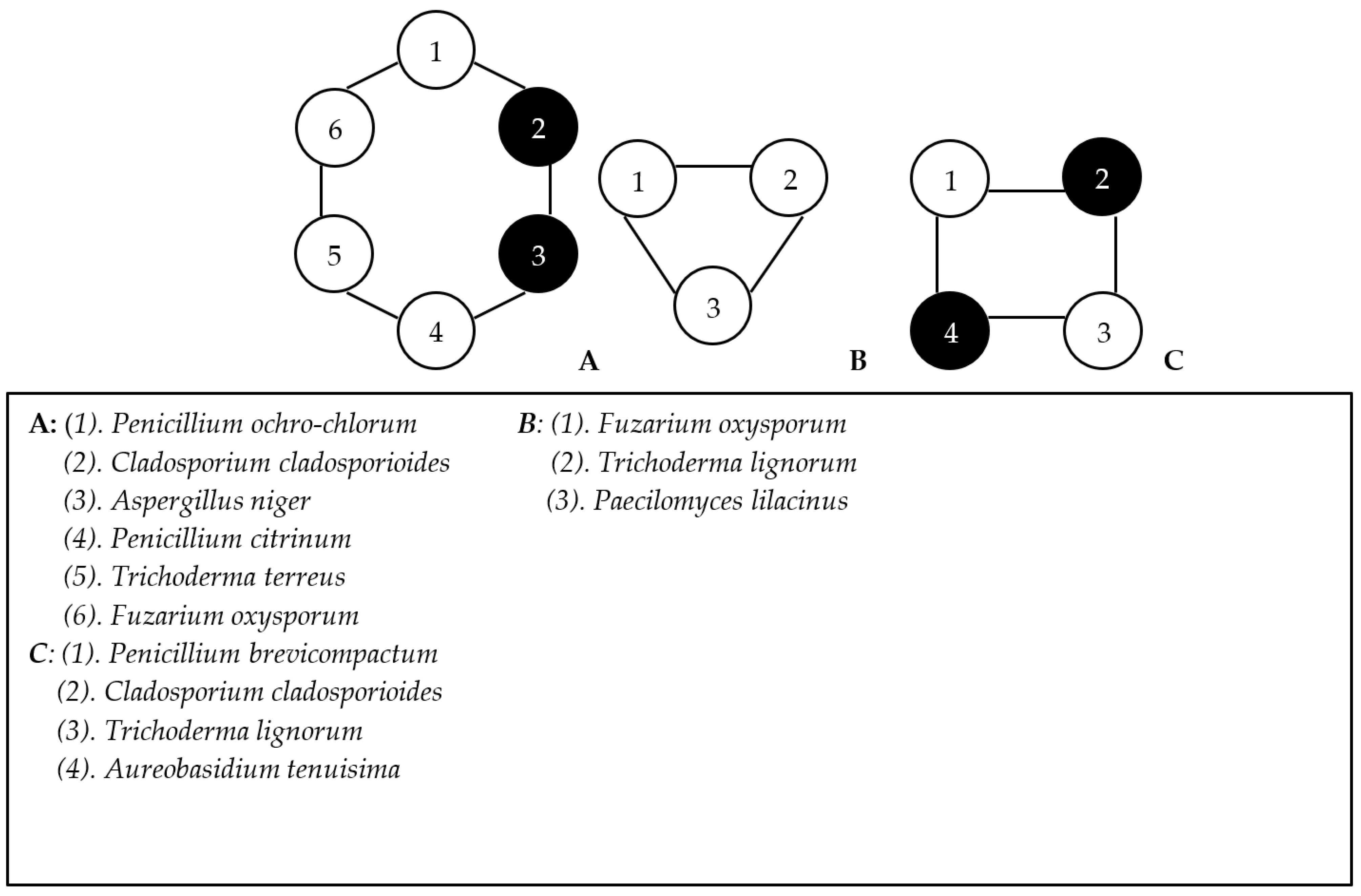 Agronomy 13 01346 g002