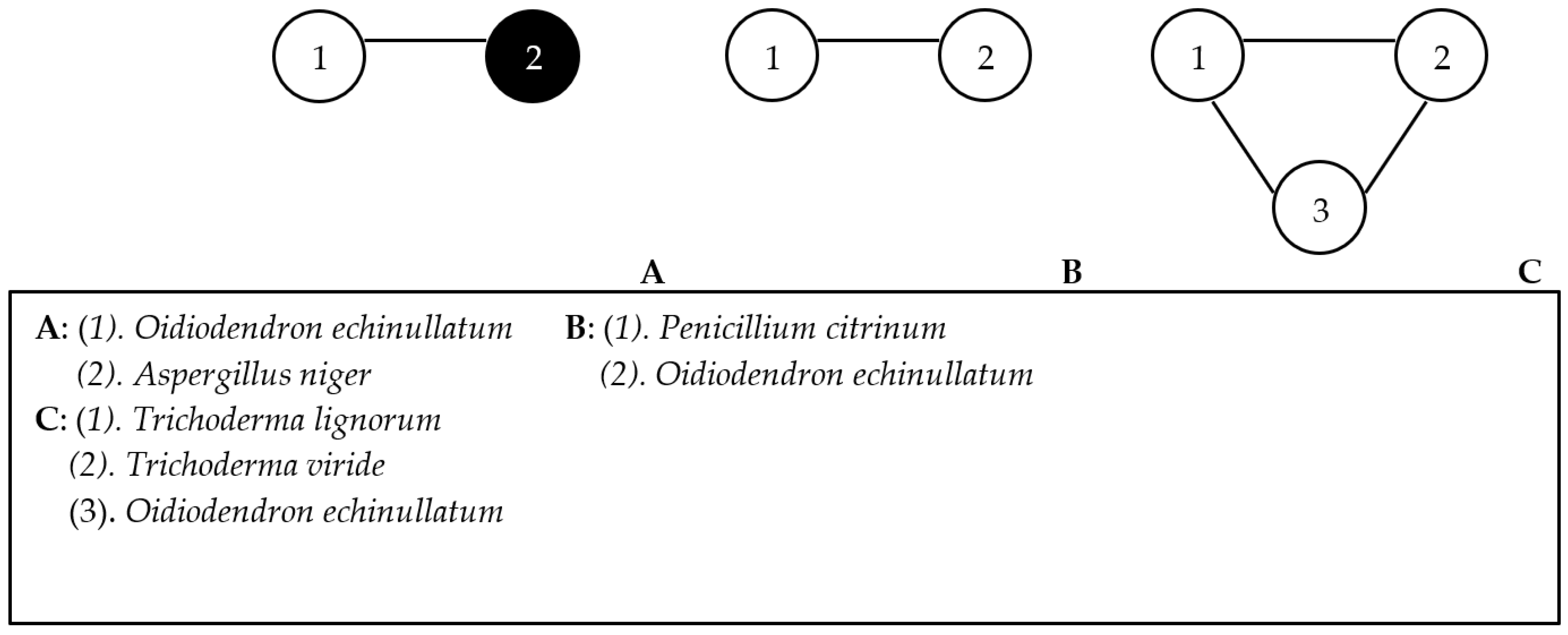 Agronomy 13 01346 g003