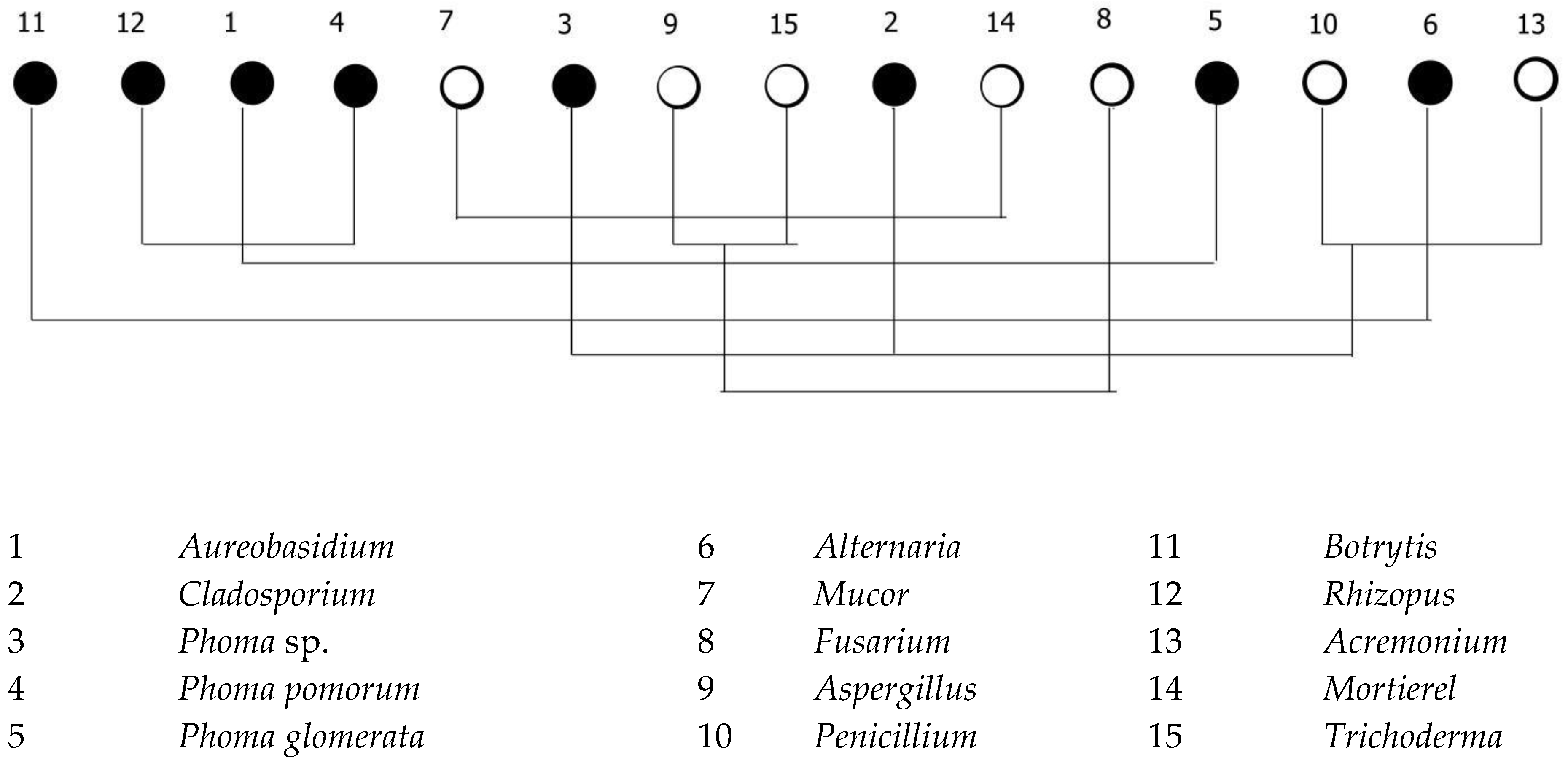 Agronomy 13 01346 g004
