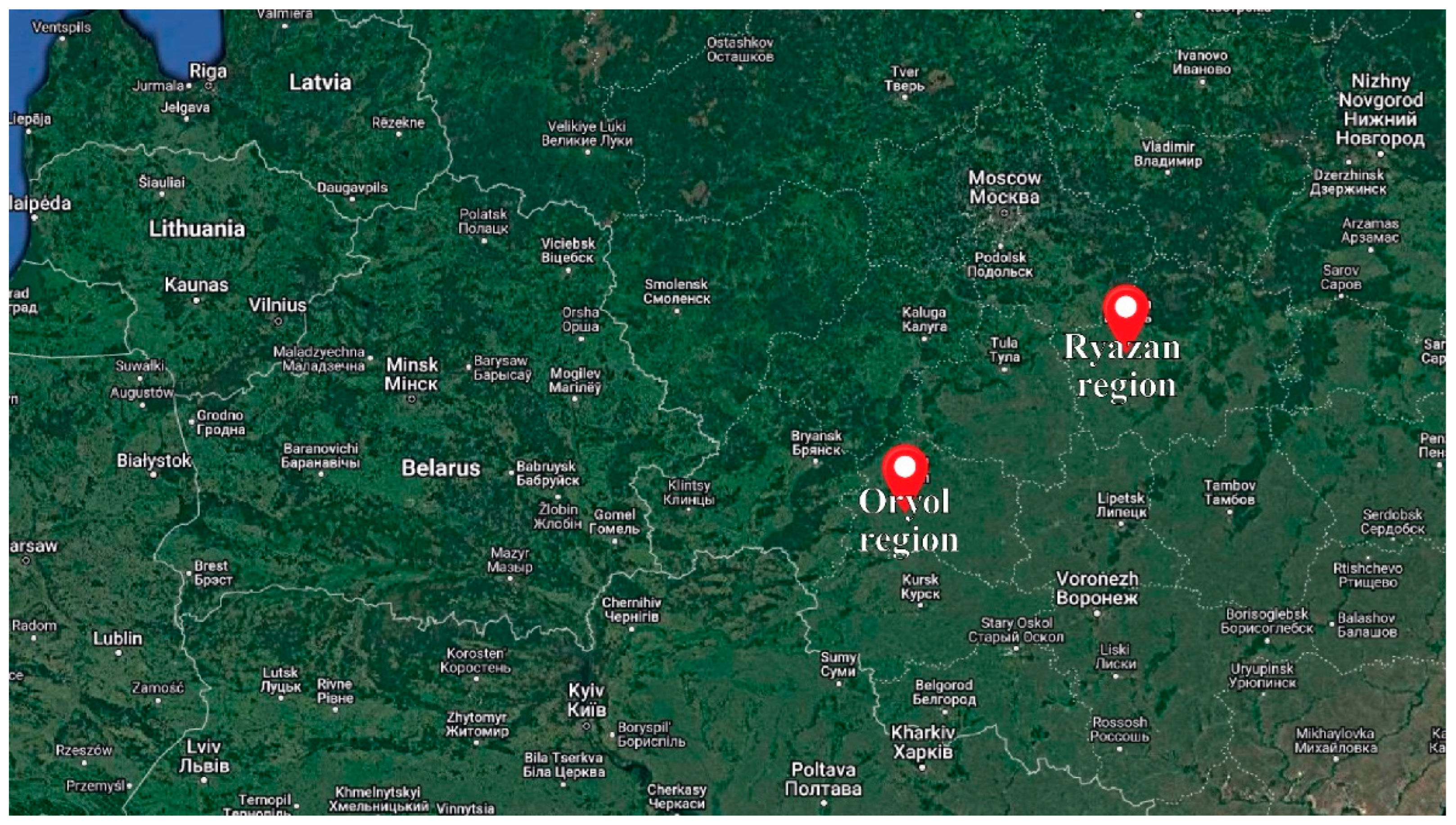 Agronomy 13 01348 g001