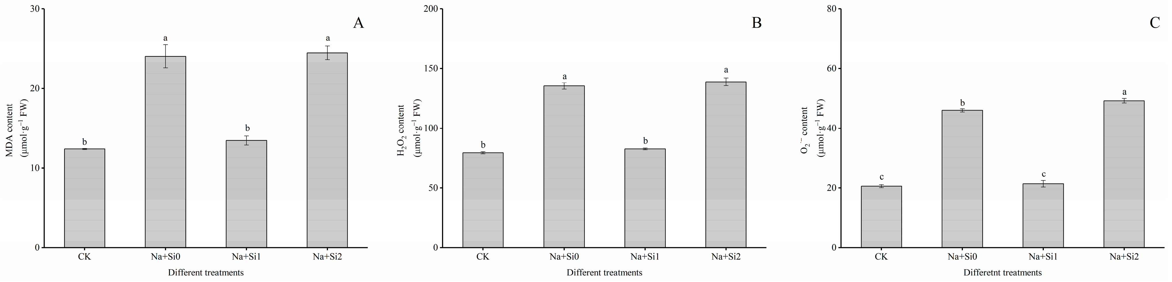 Agronomy 13 01349 g003 Agronomy 13 01349 g003