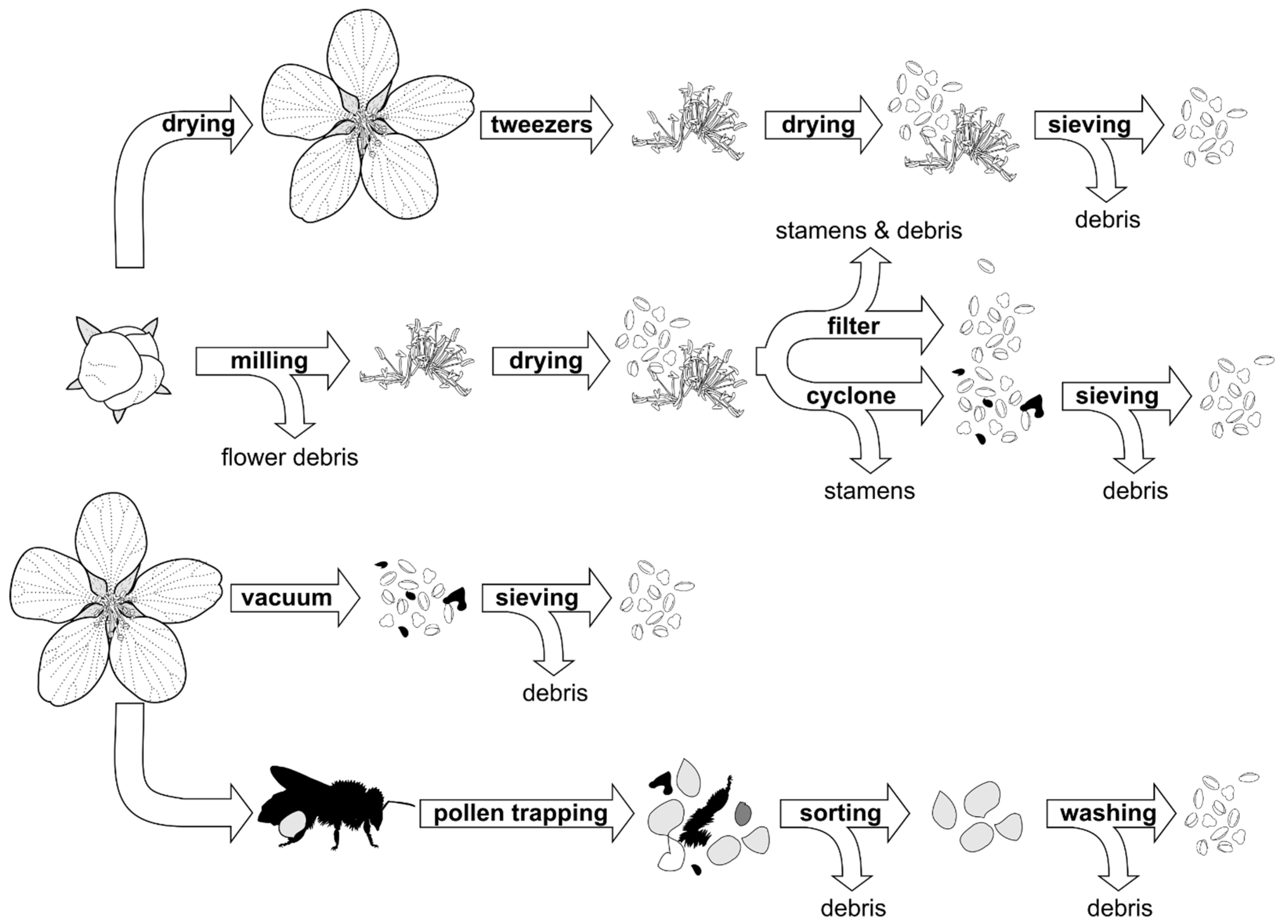 Agronomy 13 01351 g003