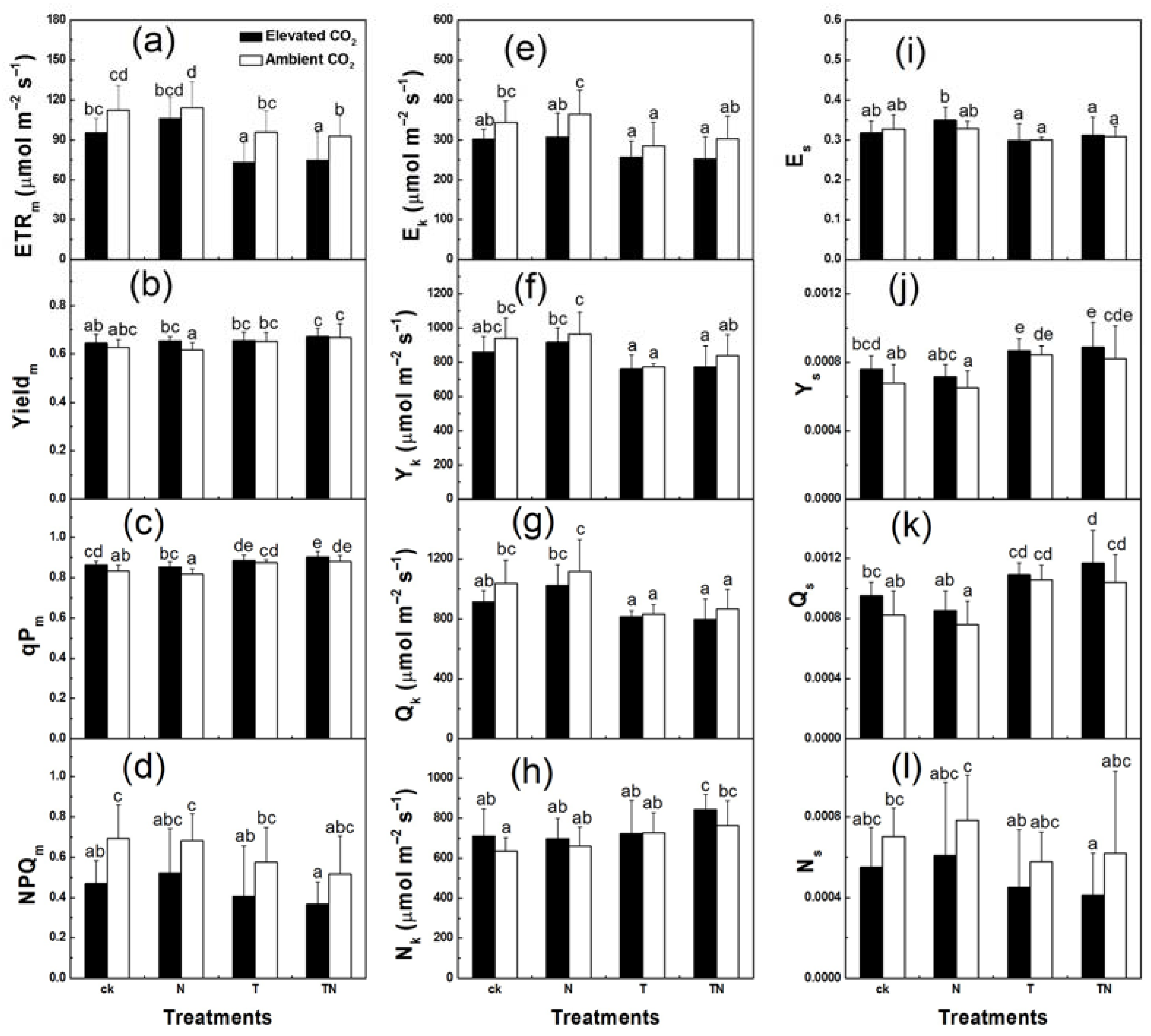 Agronomy 13 01353 g004 Agronomy 13 01353 g004