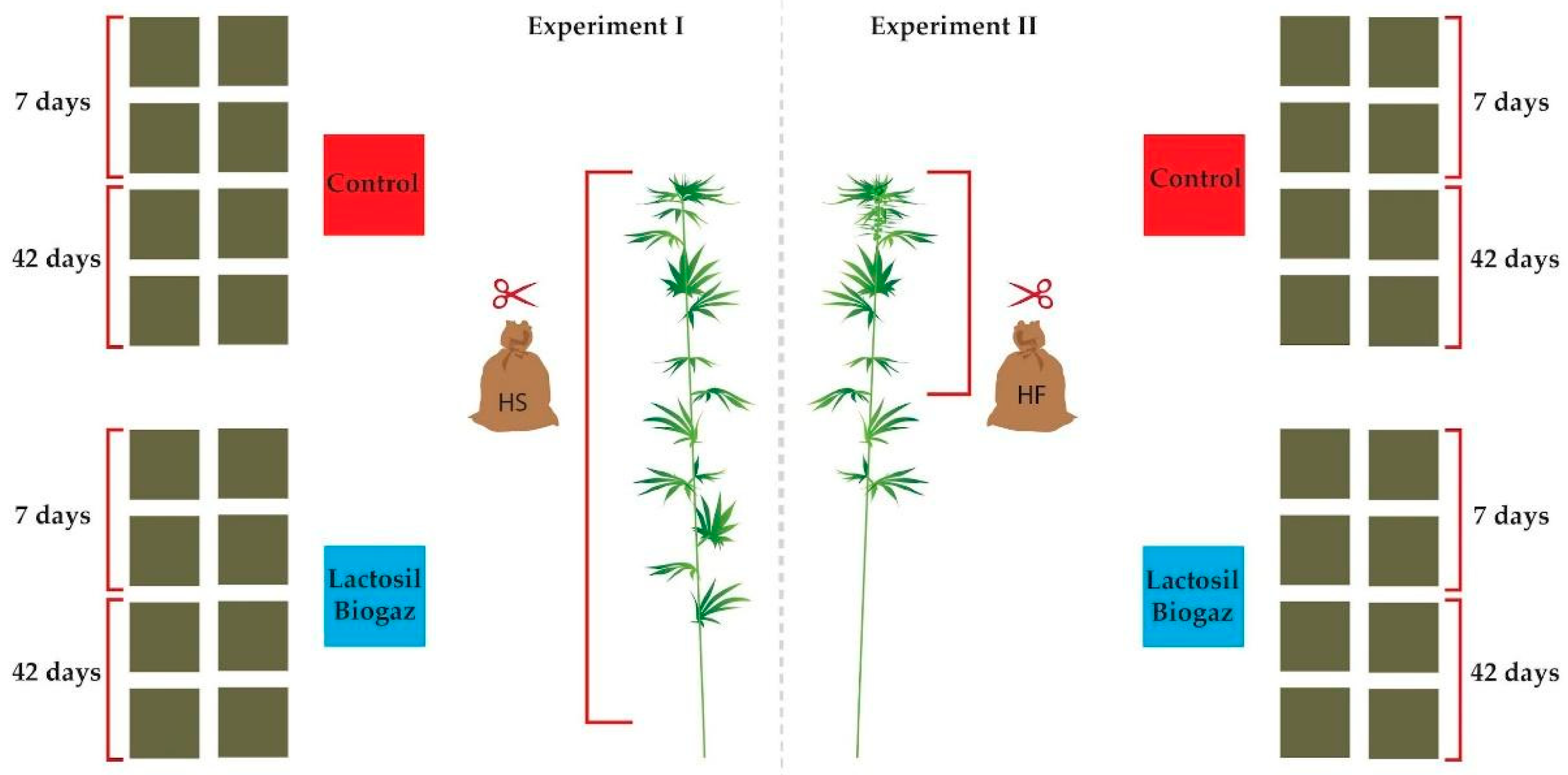 Agronomy 13 01371 g001 Agronomy 13 01371 g001