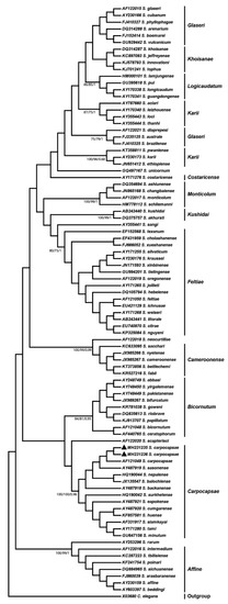 Agronomy 13 01373 g005
