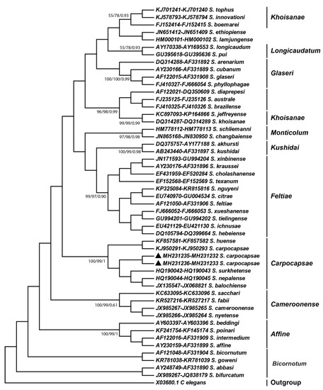 Agronomy 13 01373 g006