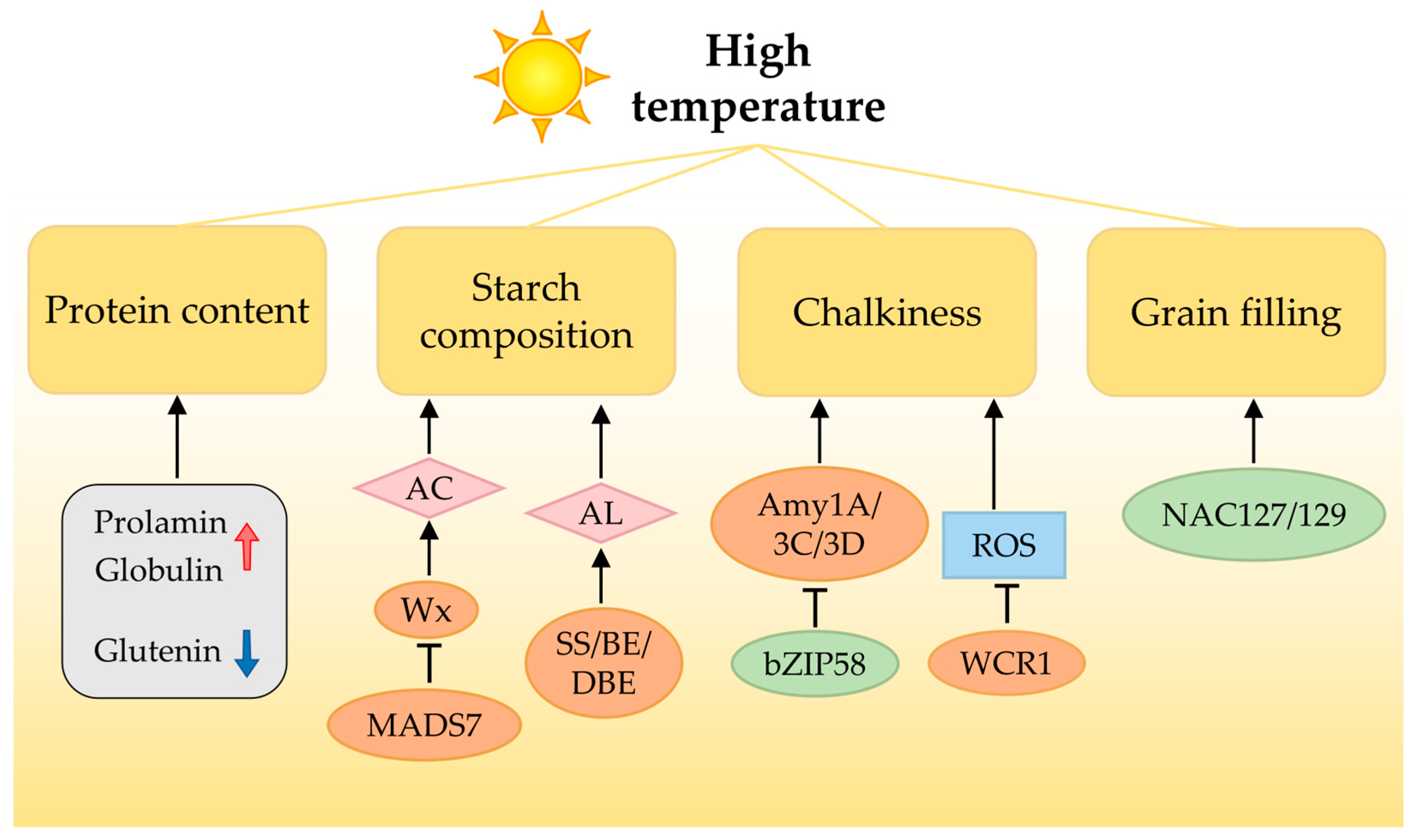 Agronomy 13 01375 g002