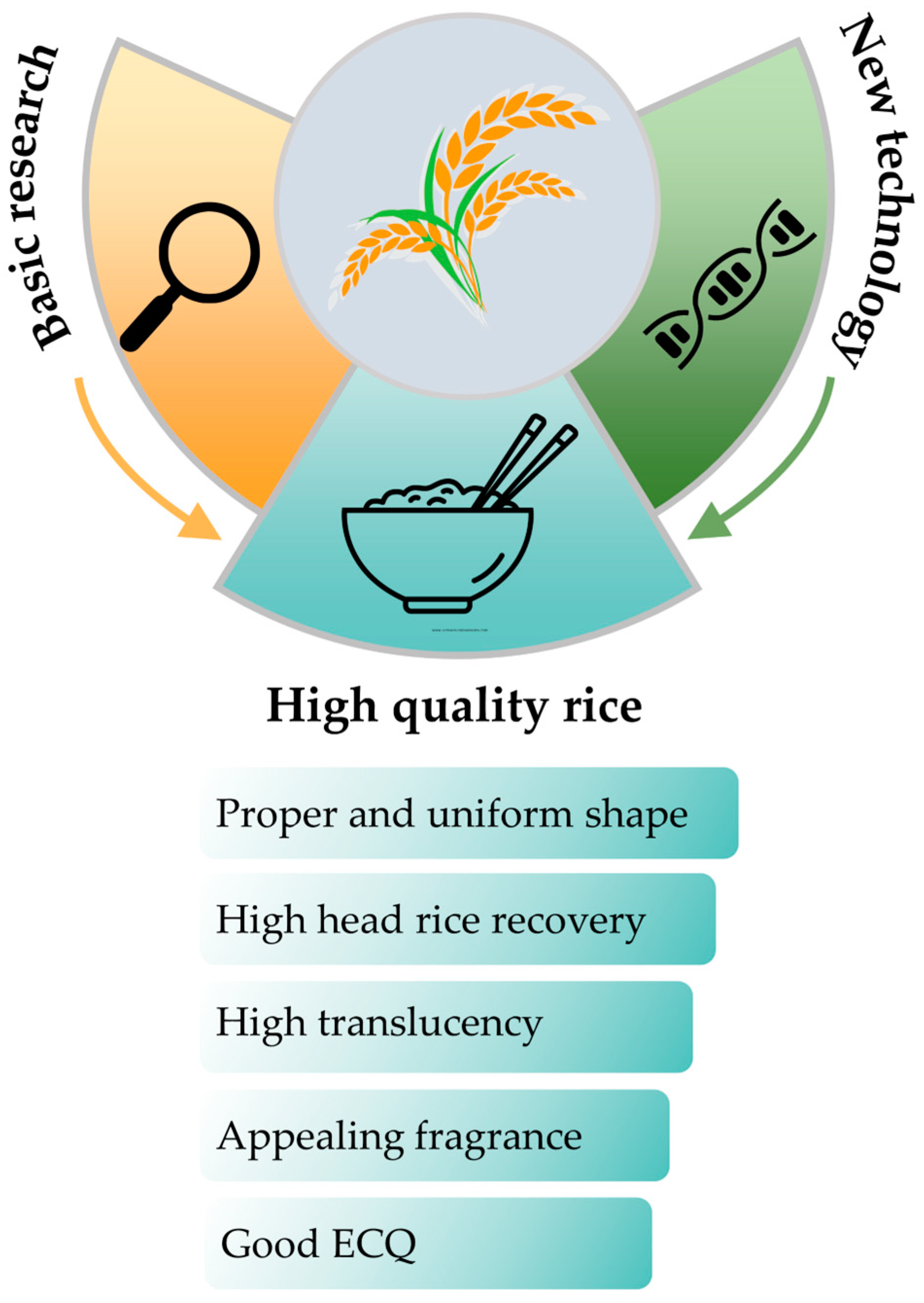 Agronomy 13 01375 g003