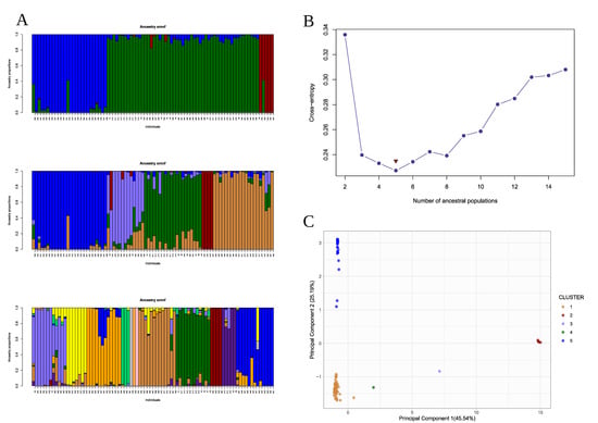 Agronomy 13 01396 g002