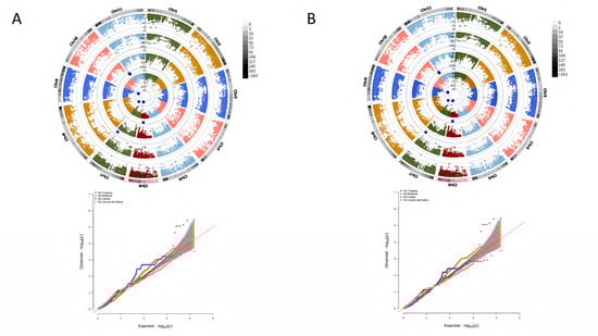Agronomy 13 01396 g003
