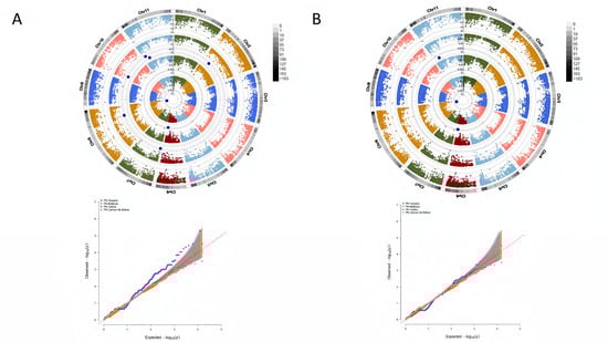 Agronomy 13 01396 g004