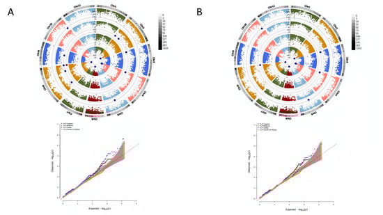 Agronomy 13 01396 g005