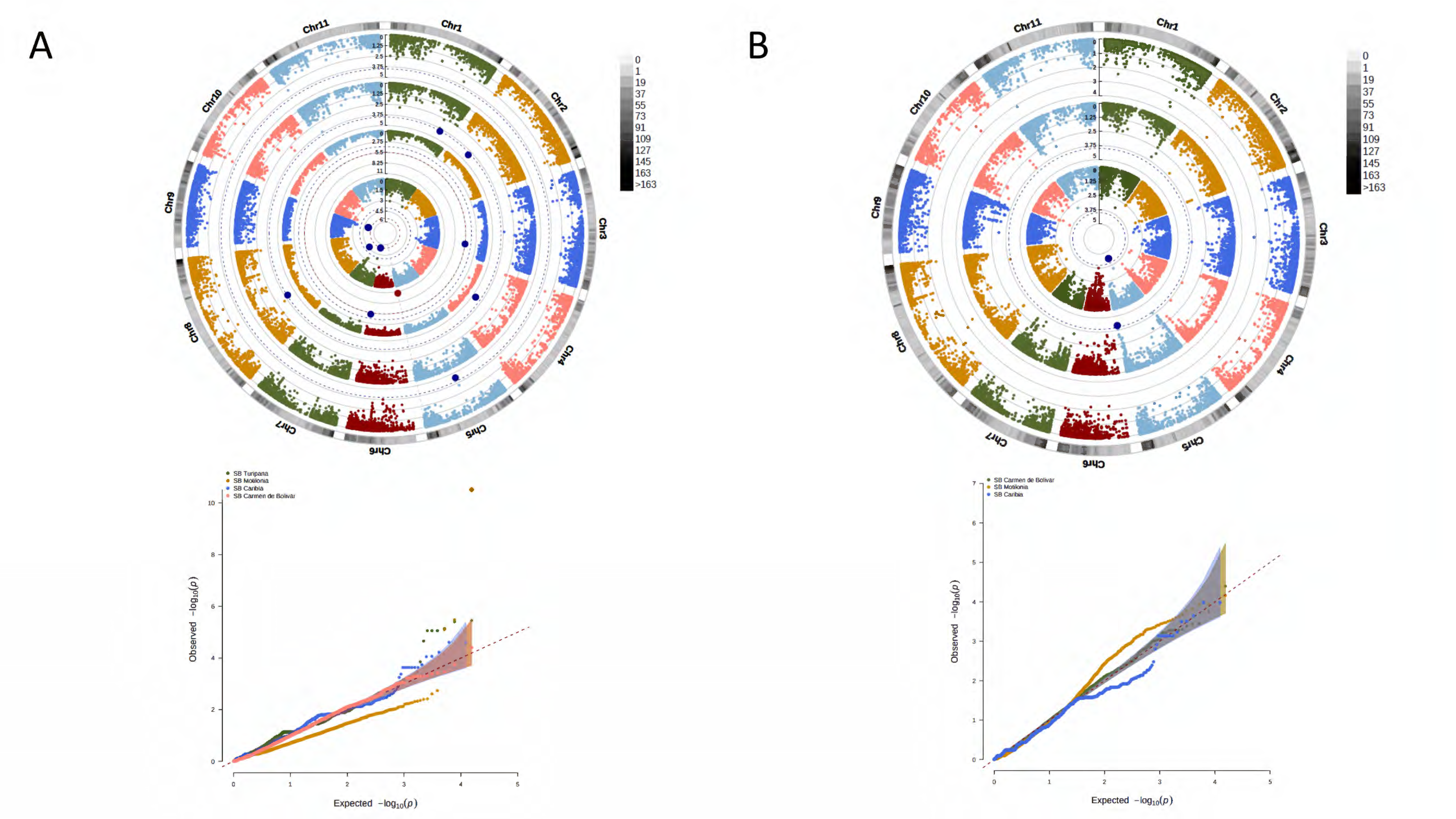 Agronomy 13 01396 g006