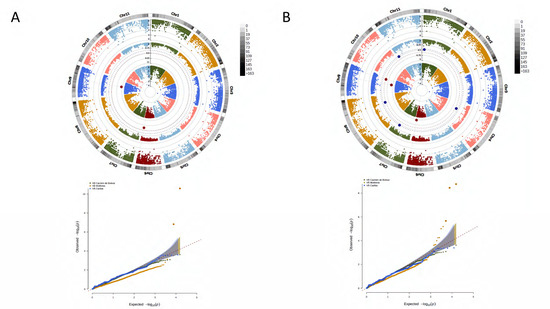 Agronomy 13 01396 g007