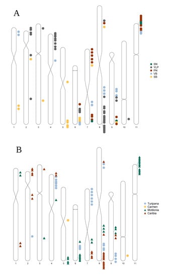 Agronomy 13 01396 g008