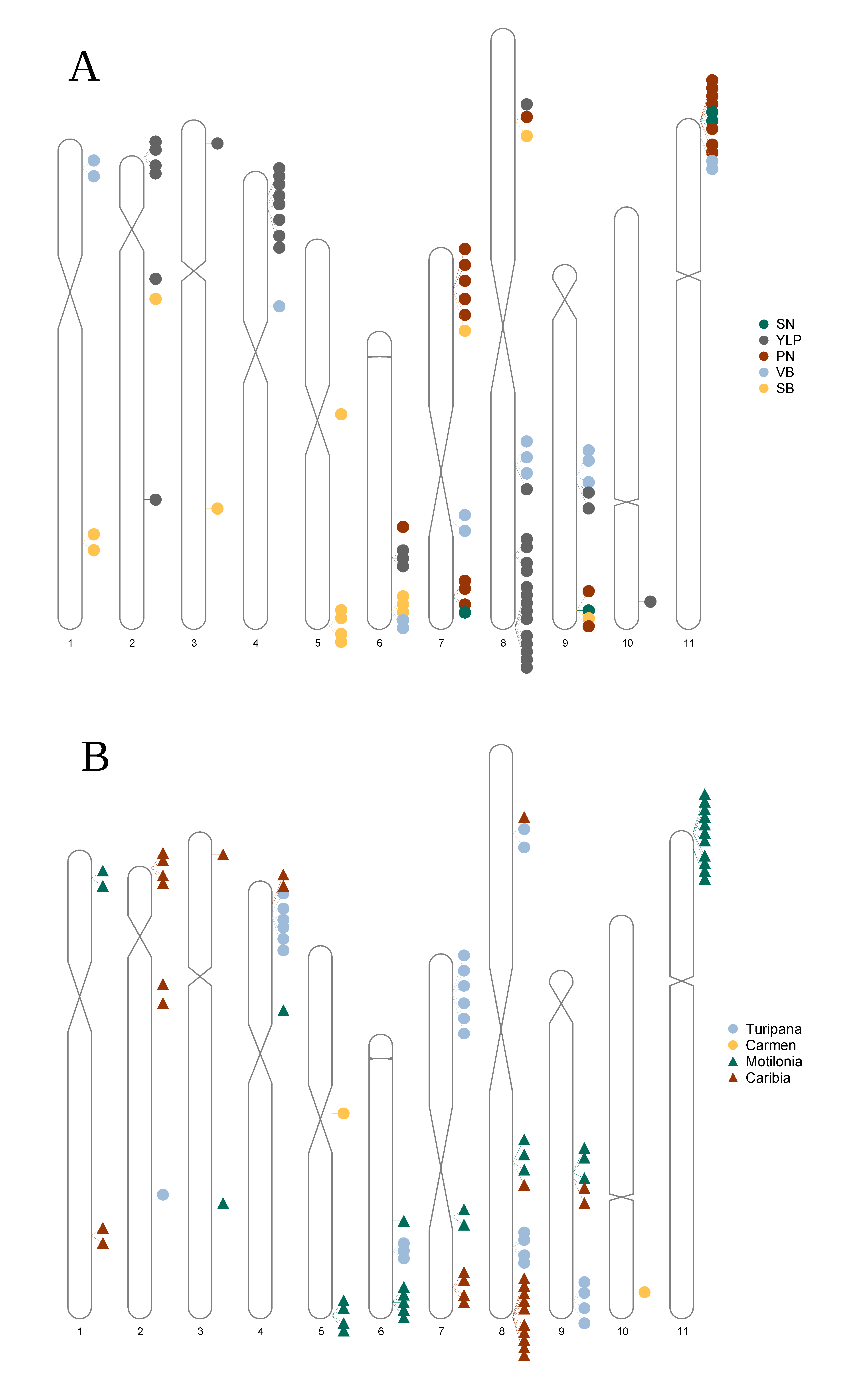 Agronomy 13 01396 g008