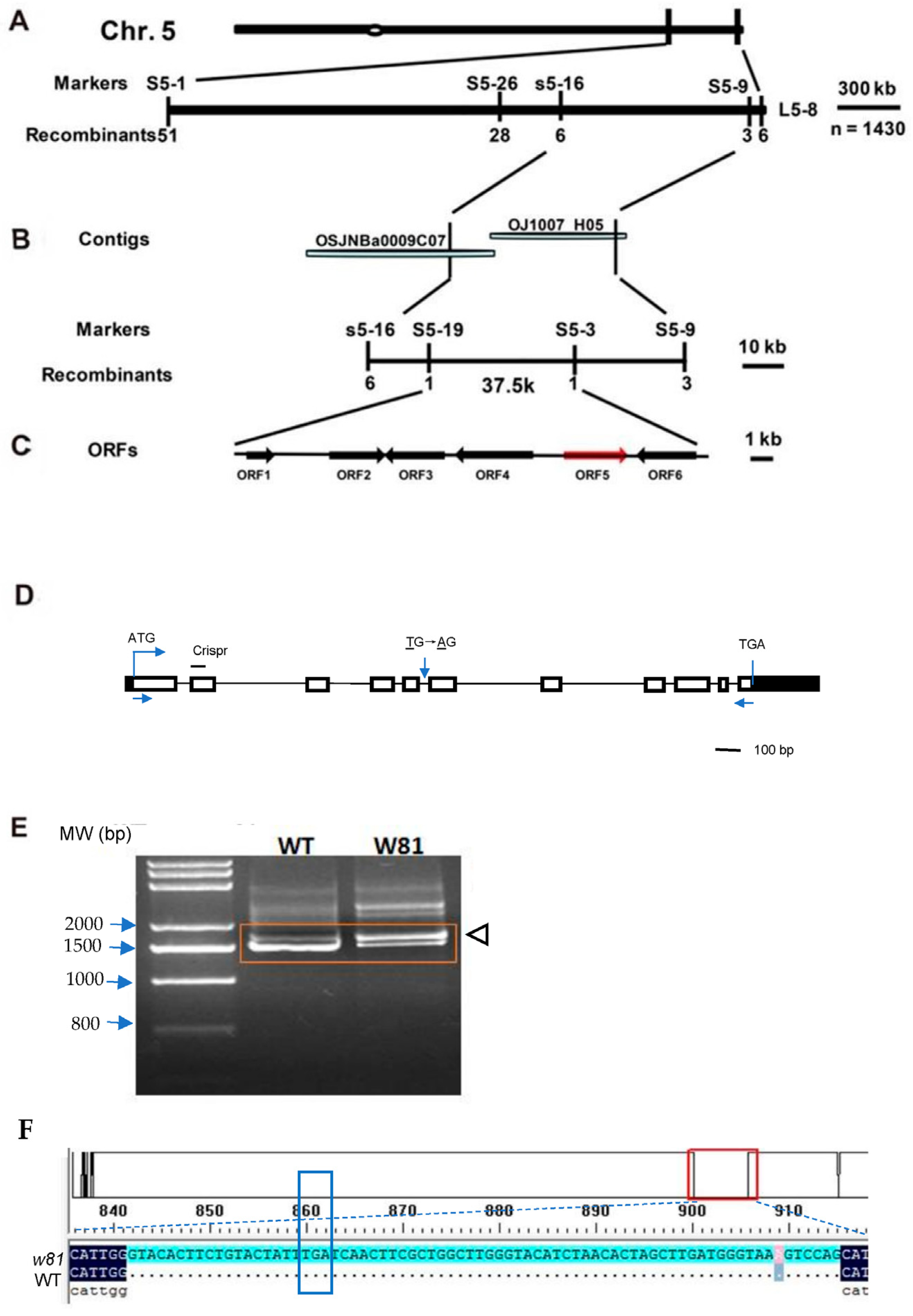 Agronomy 13 01424 g004 Agronomy 13 01424 g004