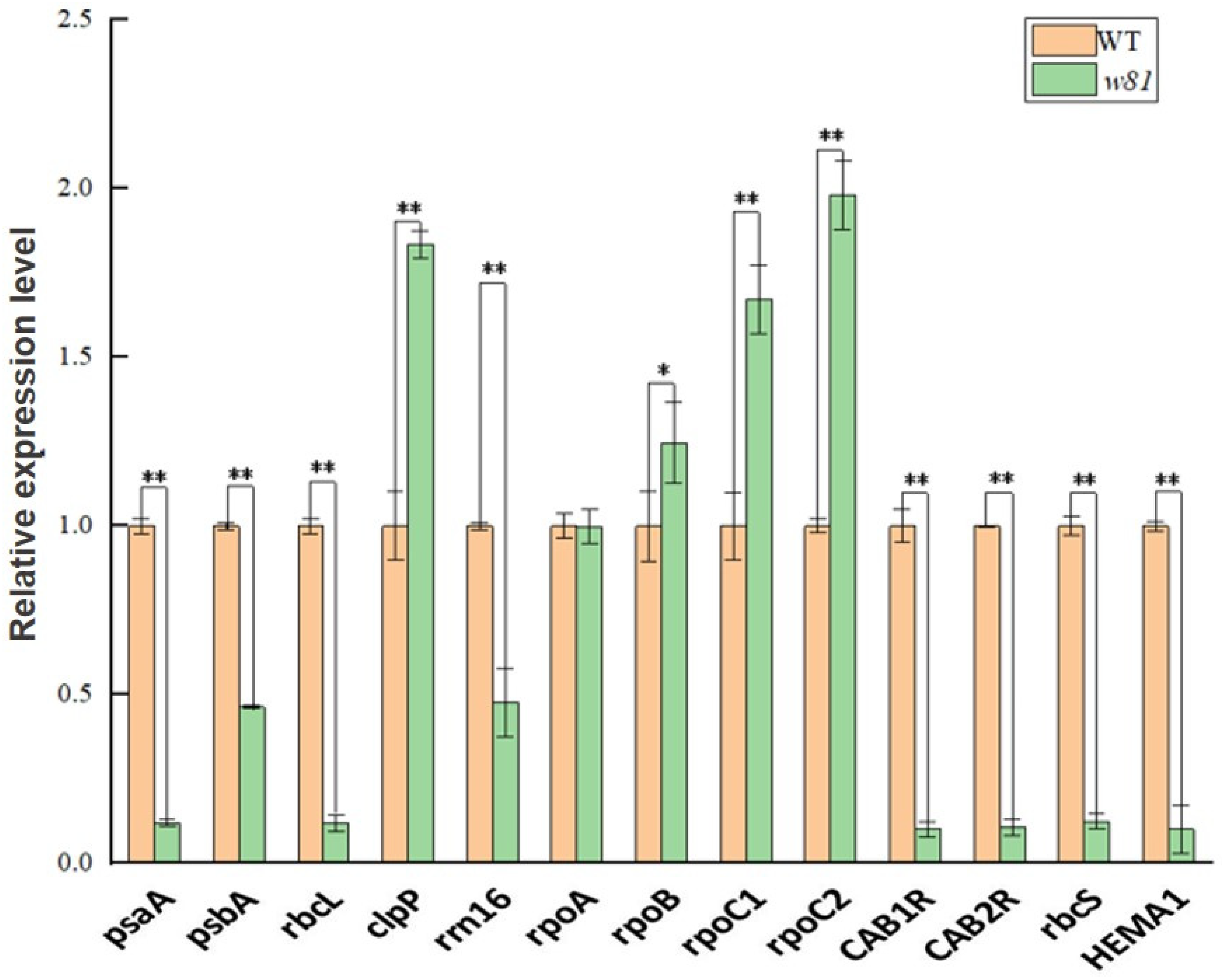Agronomy 13 01424 g007 Agronomy 13 01424 g007