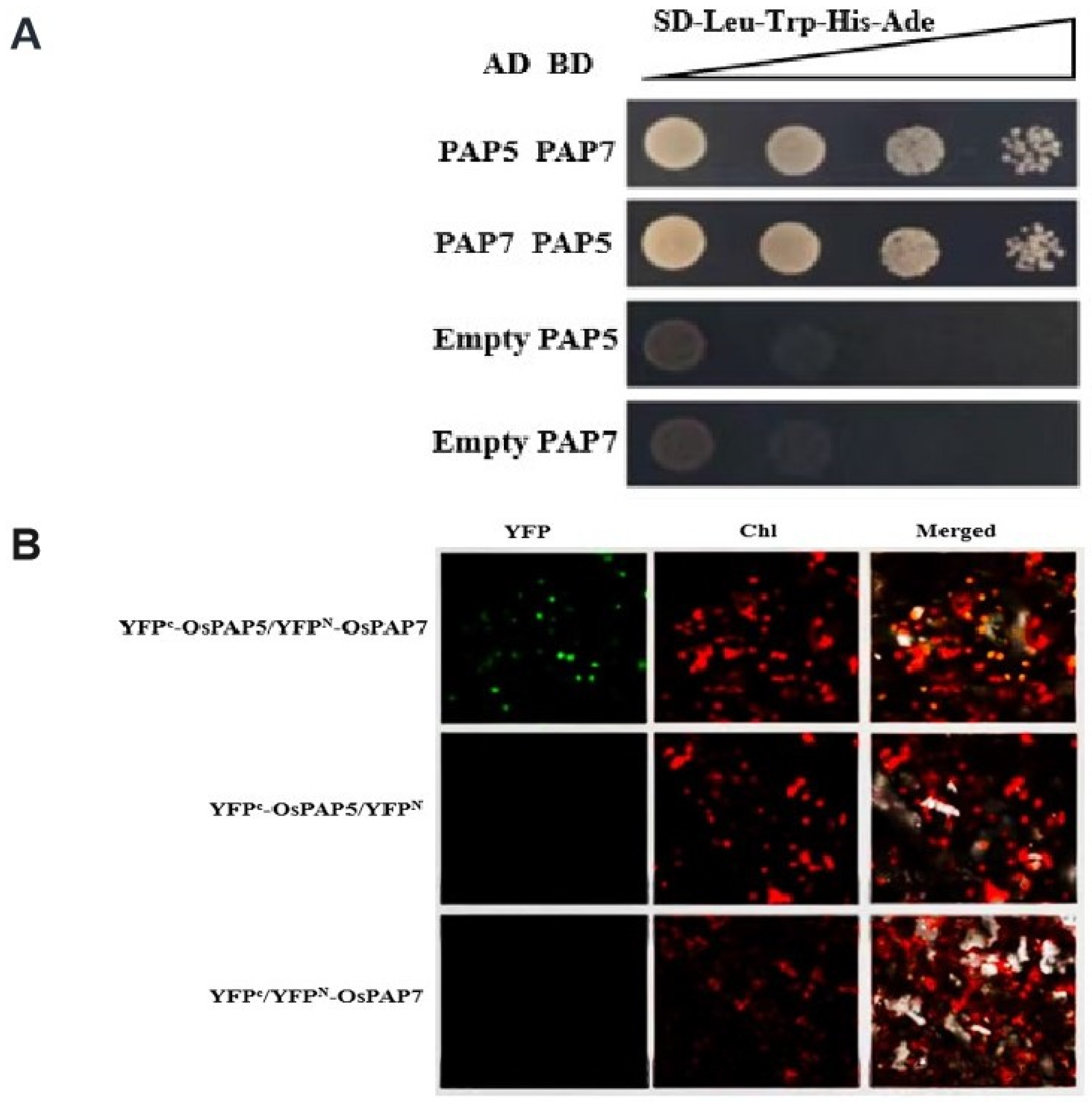Agronomy 13 01424 g008 Agronomy 13 01424 g008