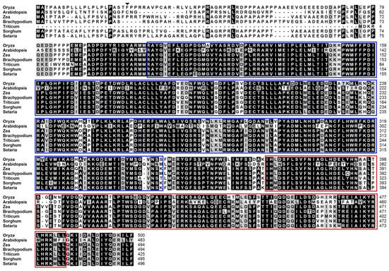 Agronomy 13 01424 g0a1